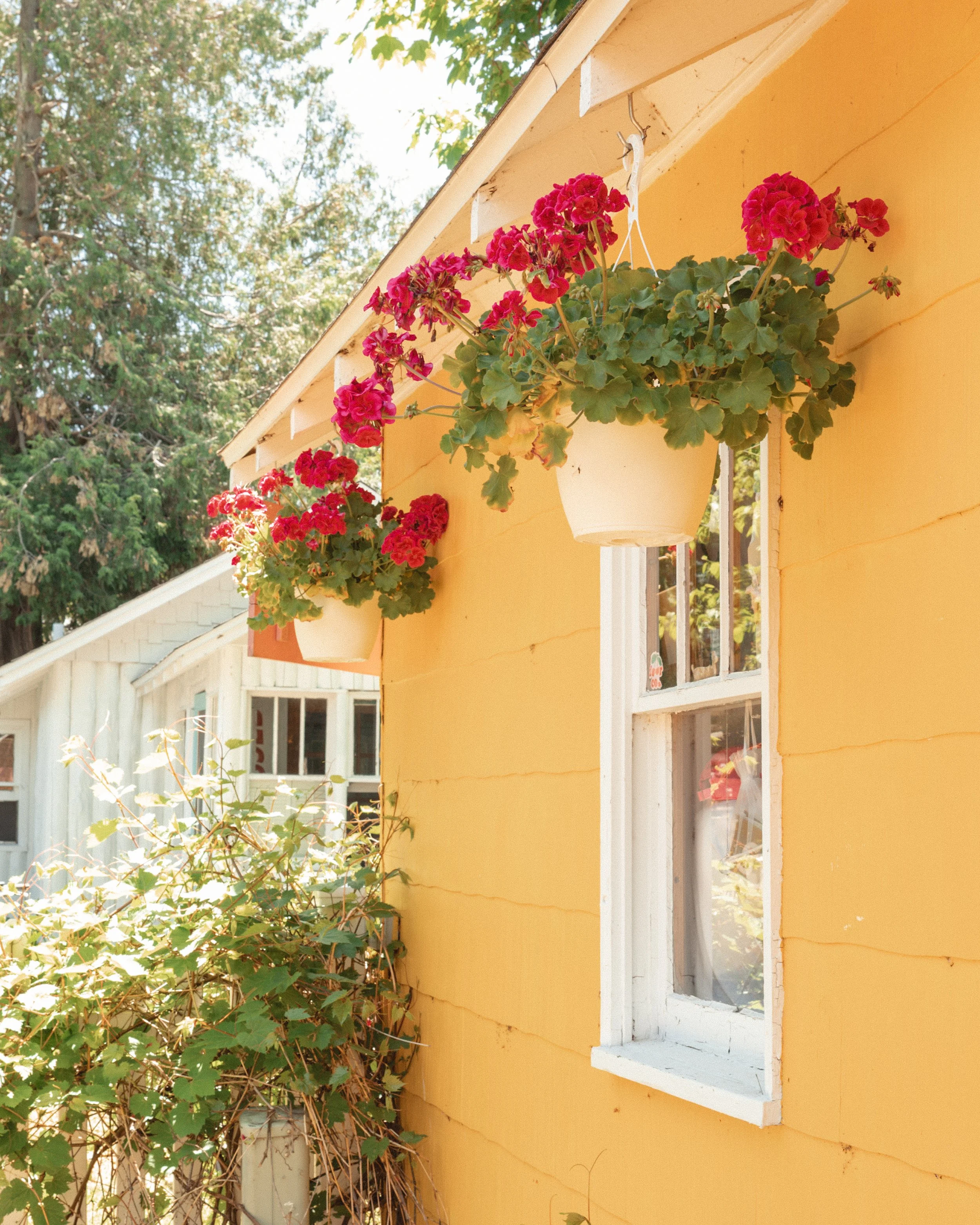 Jack&joie-9-fw.jpg