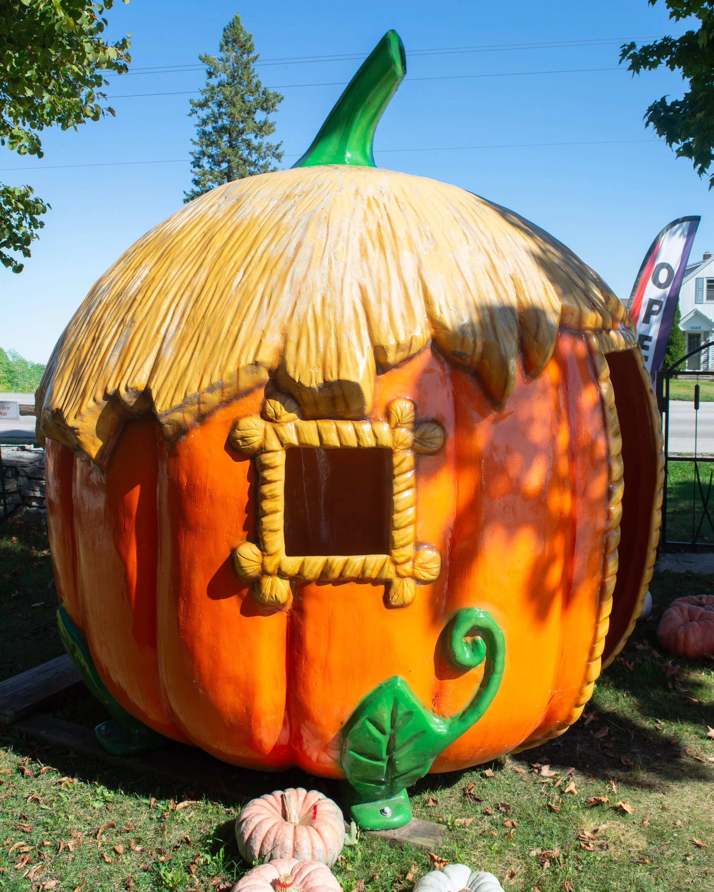 Pumkin-Koepsels.jpg