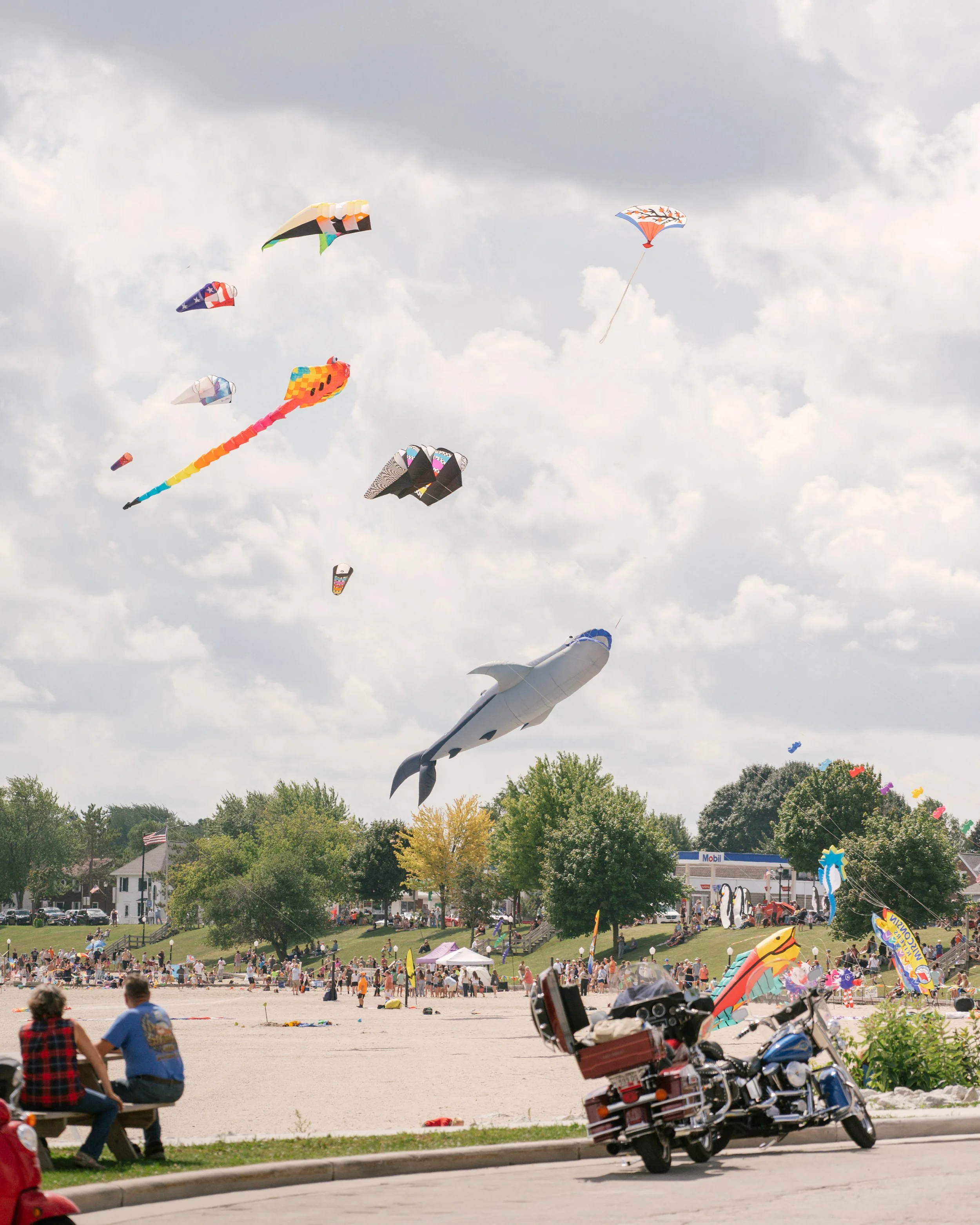 Kites-all-farshot-FW.jpg