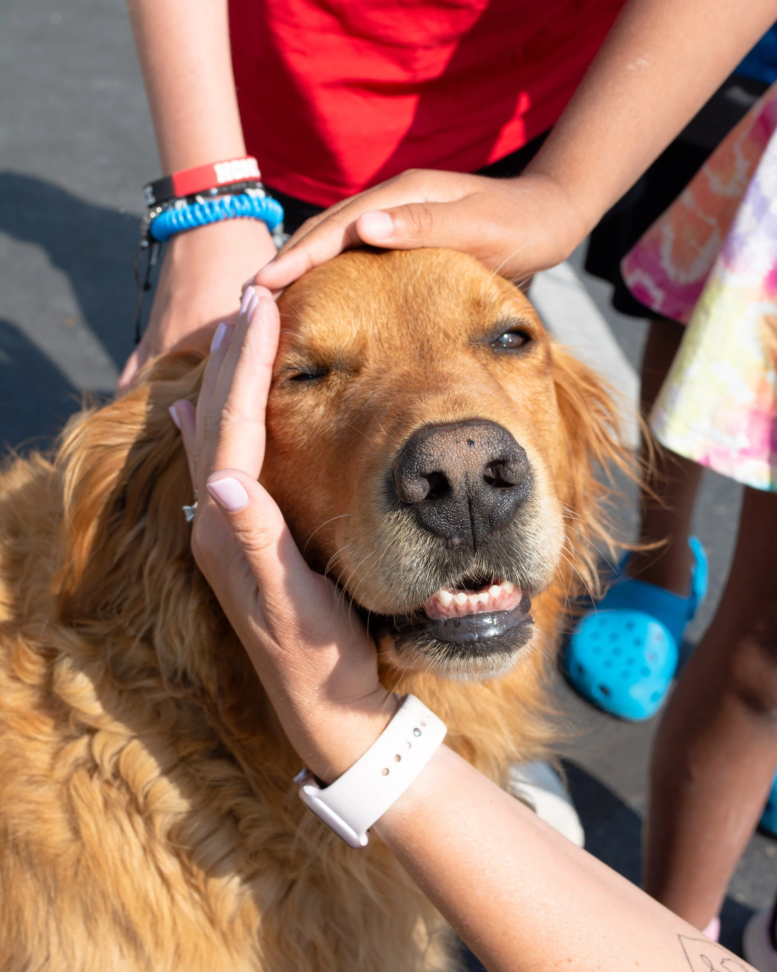 Acher-pets-2-FW.jpg