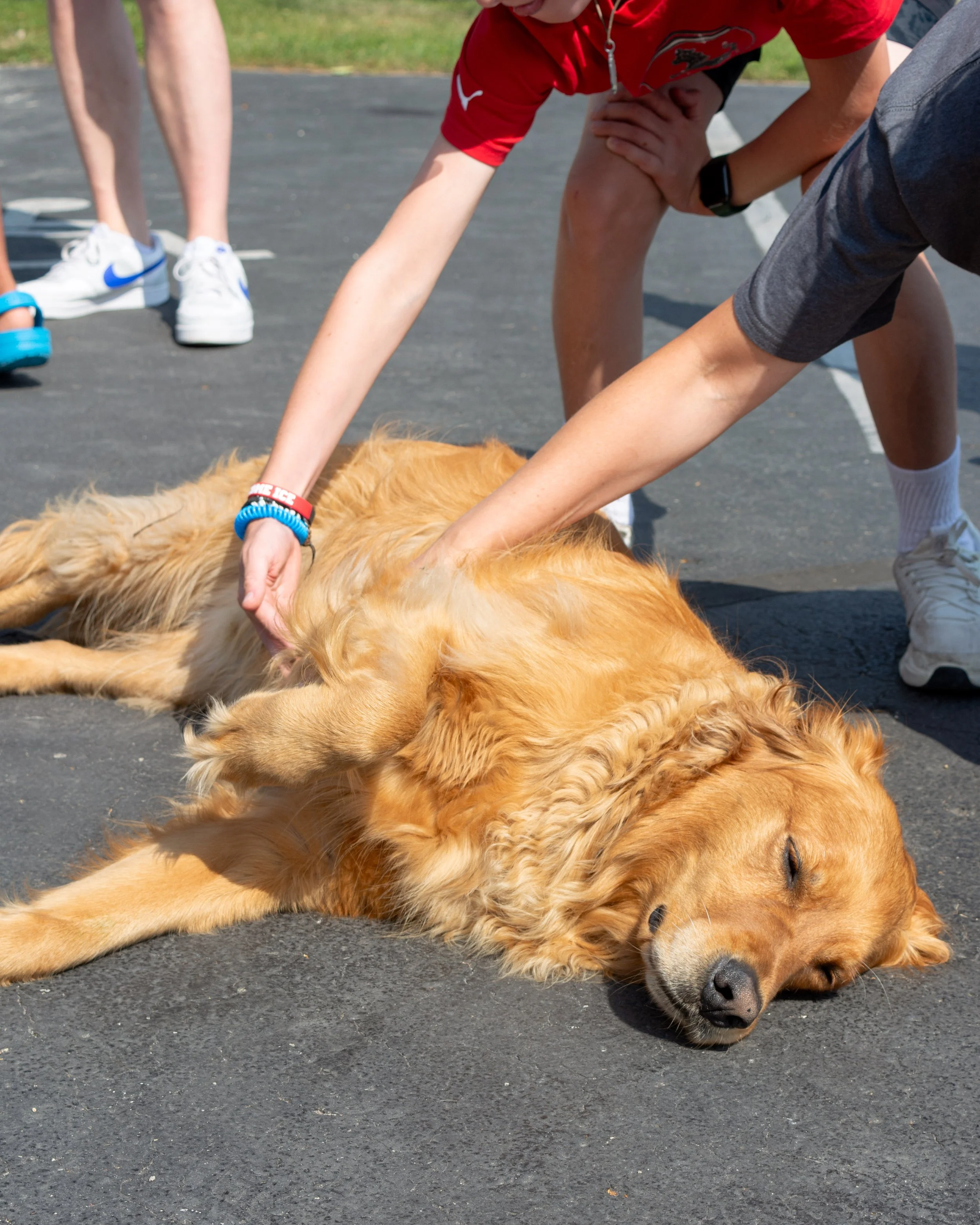 Acher-pets-4-FW.jpg