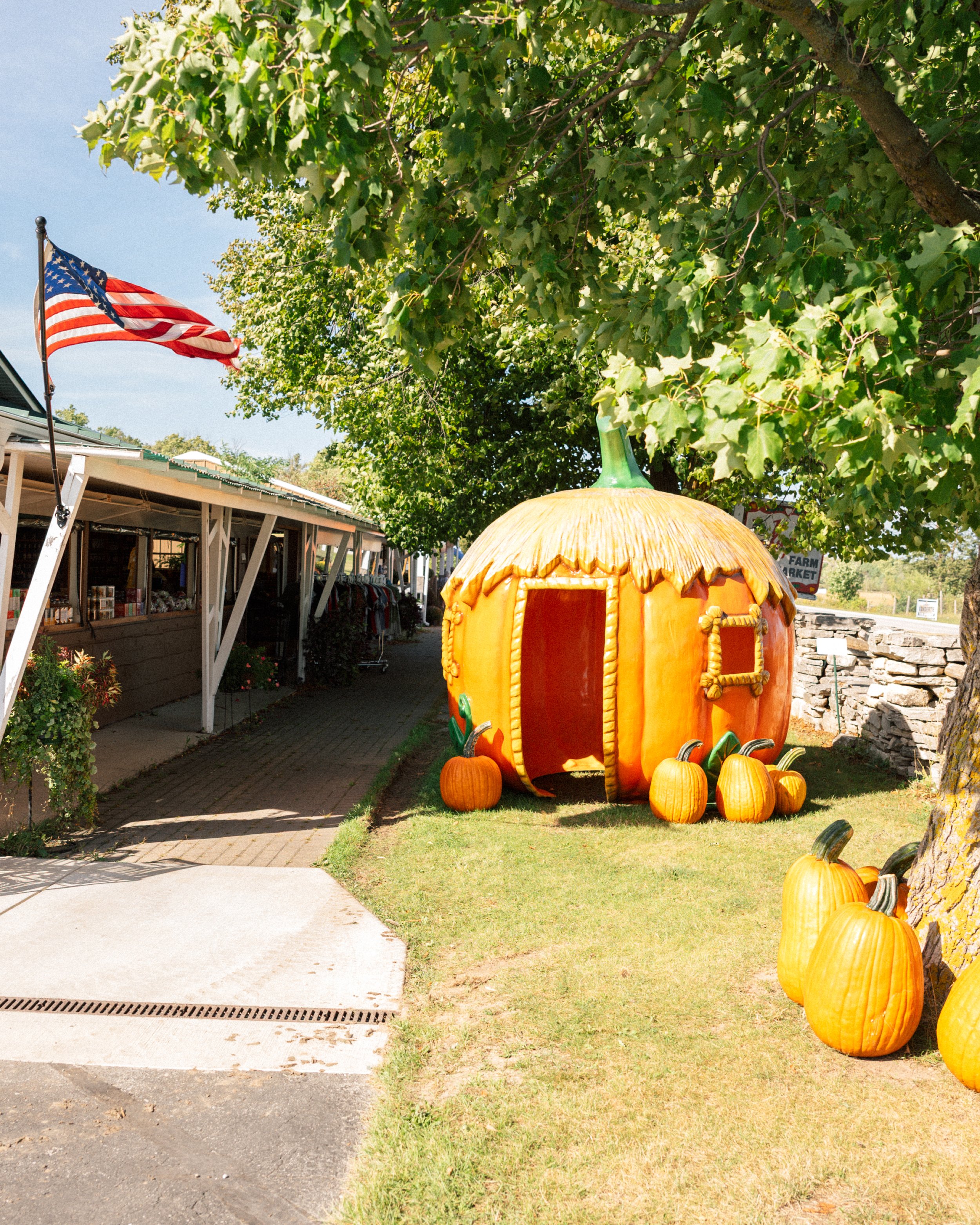 Pumkin-market-26-fw.jpg