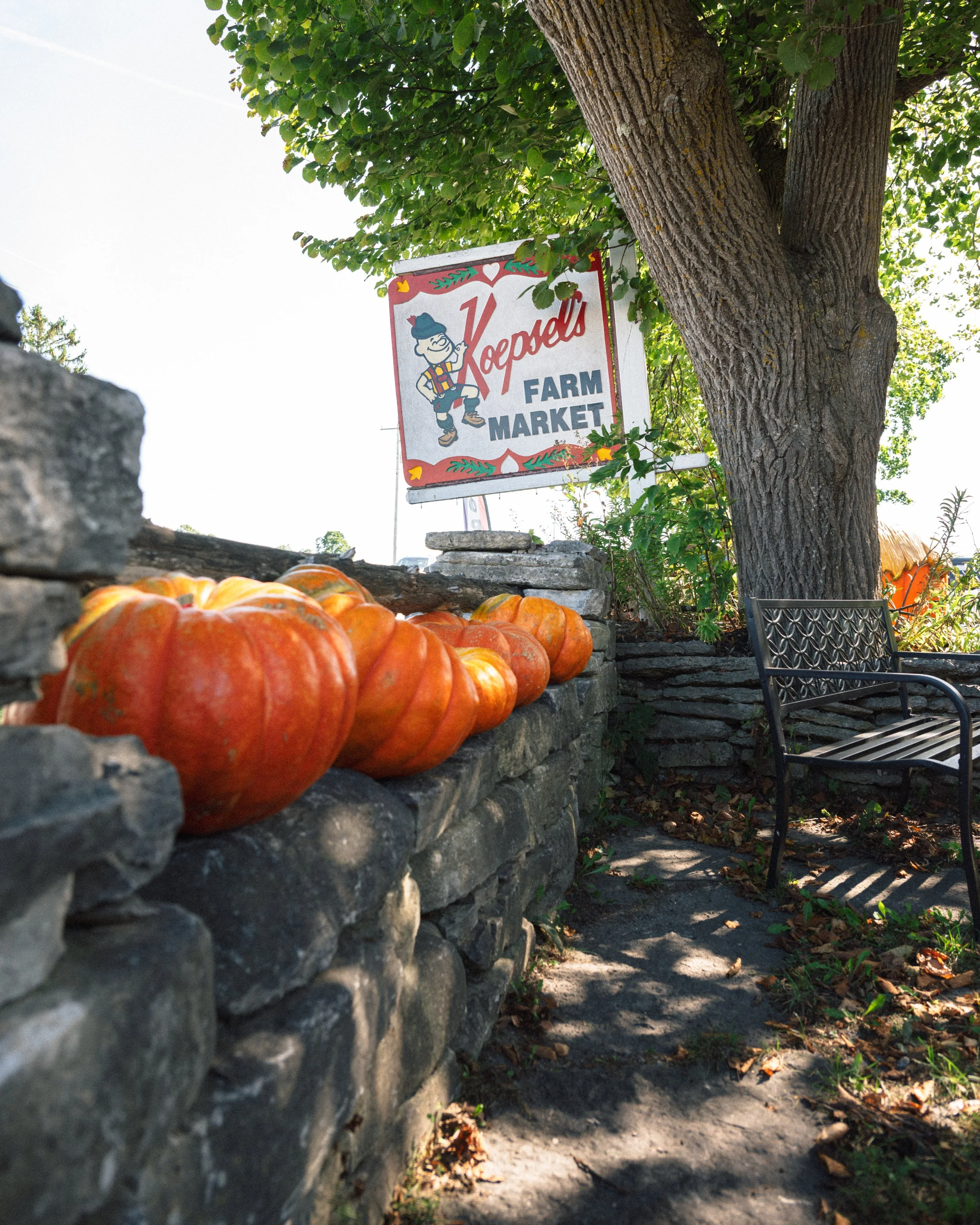 Koepsels-sign-pumkins-fw.jpg