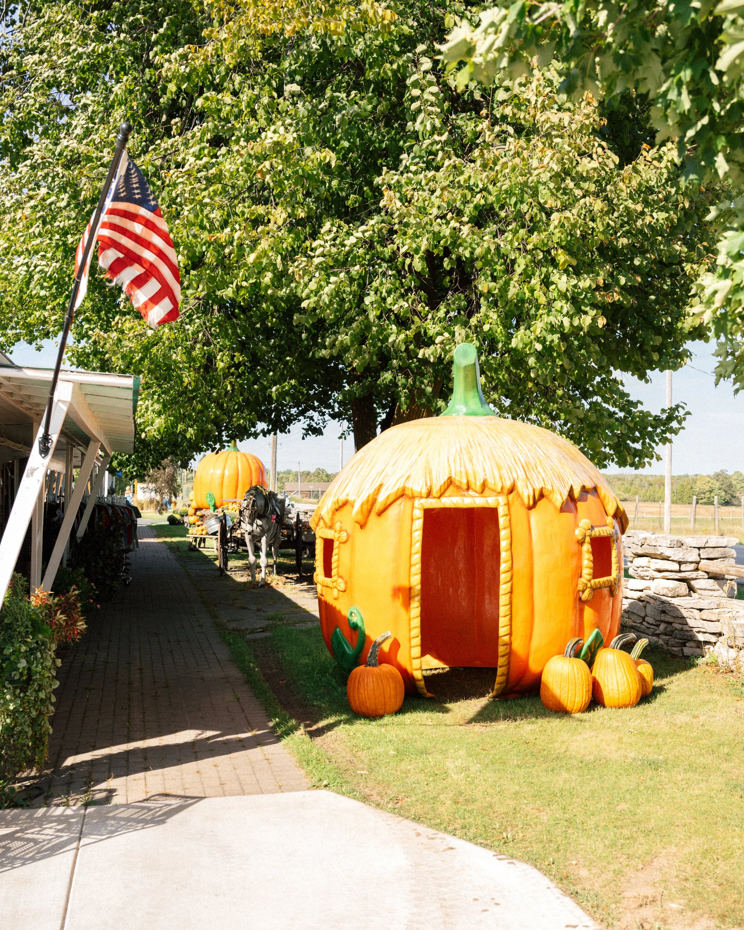 Pumkin-market-26-1-fw.jpg