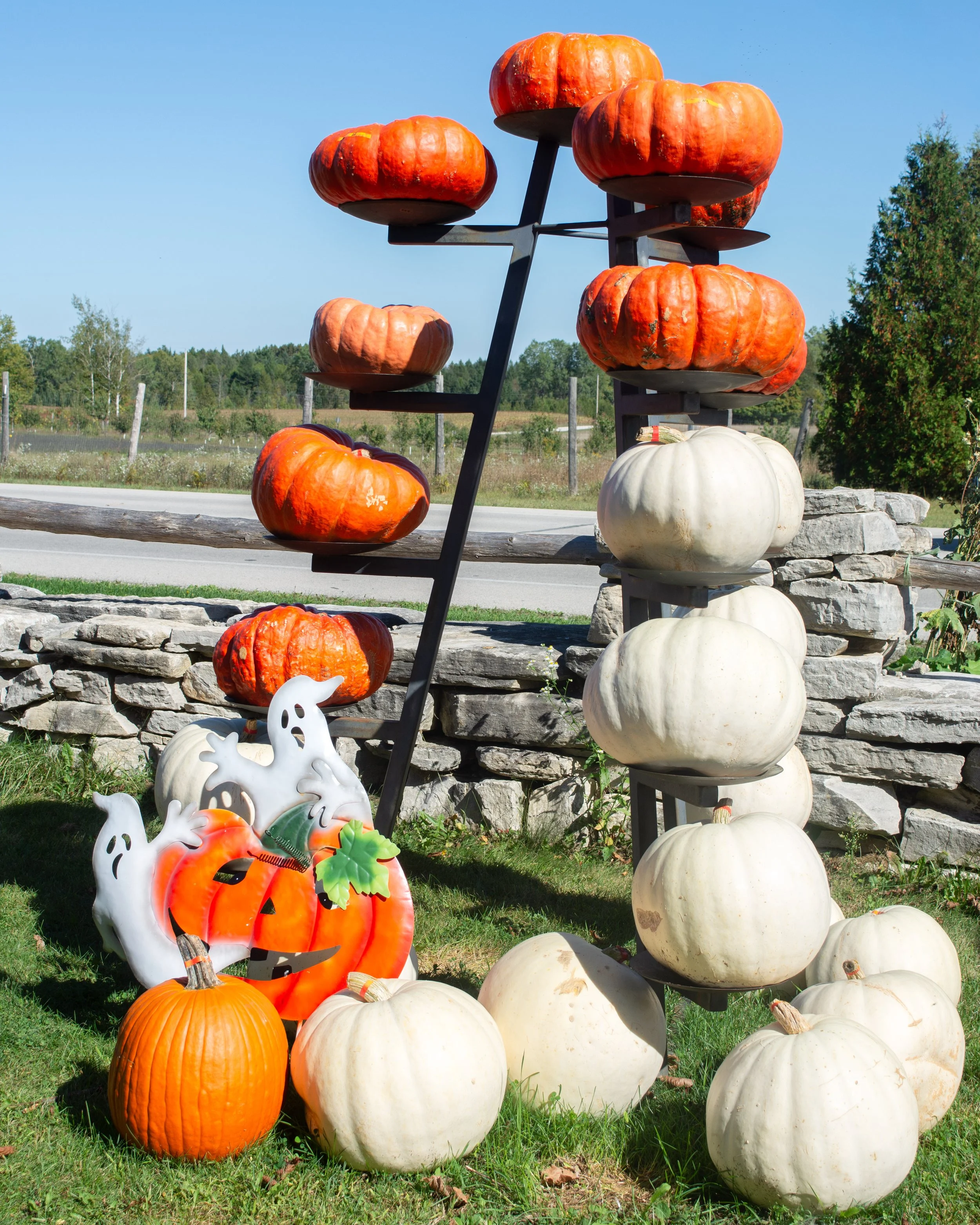 punkins-2-fw.jpg