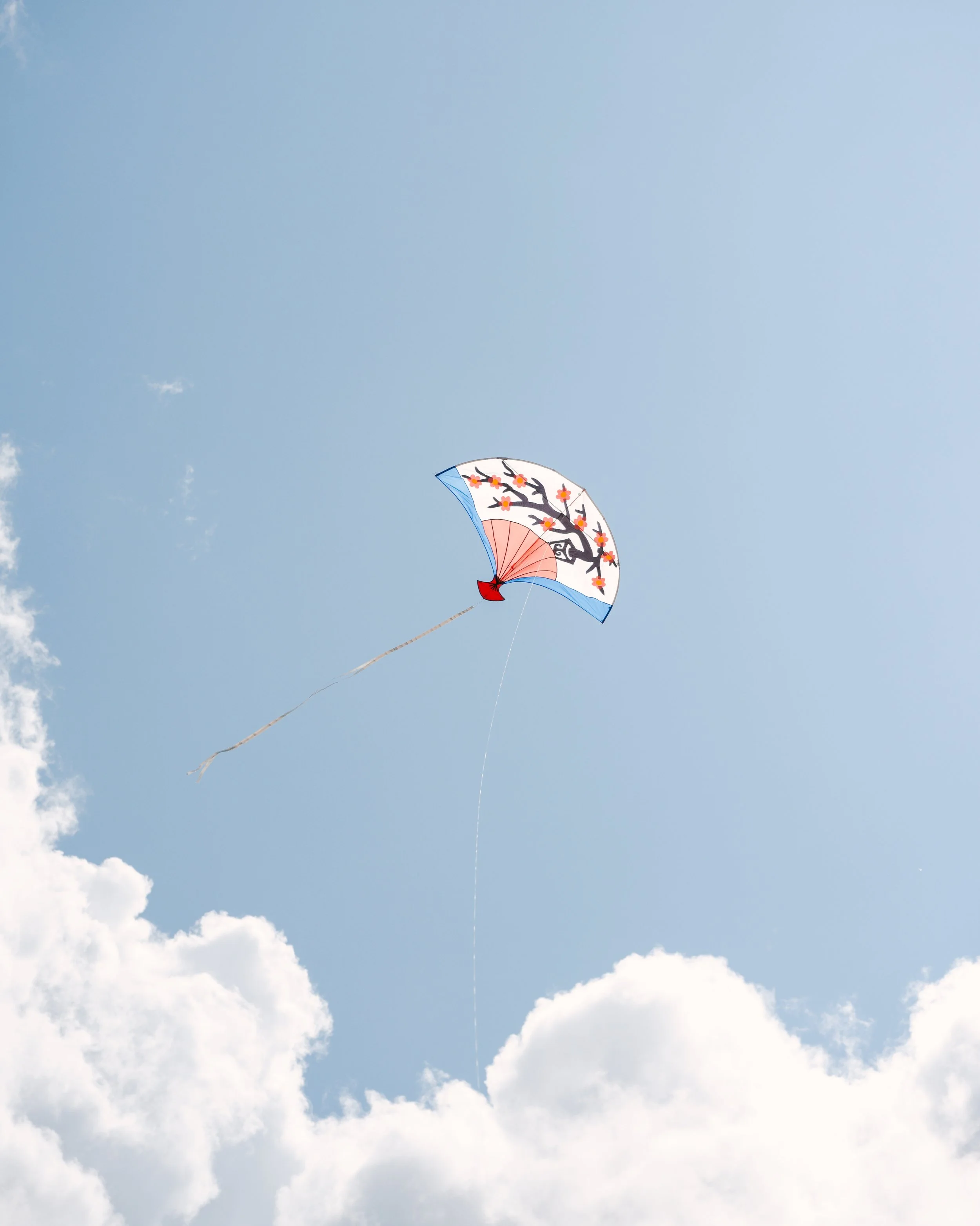 Kite-sky-fw.jpg