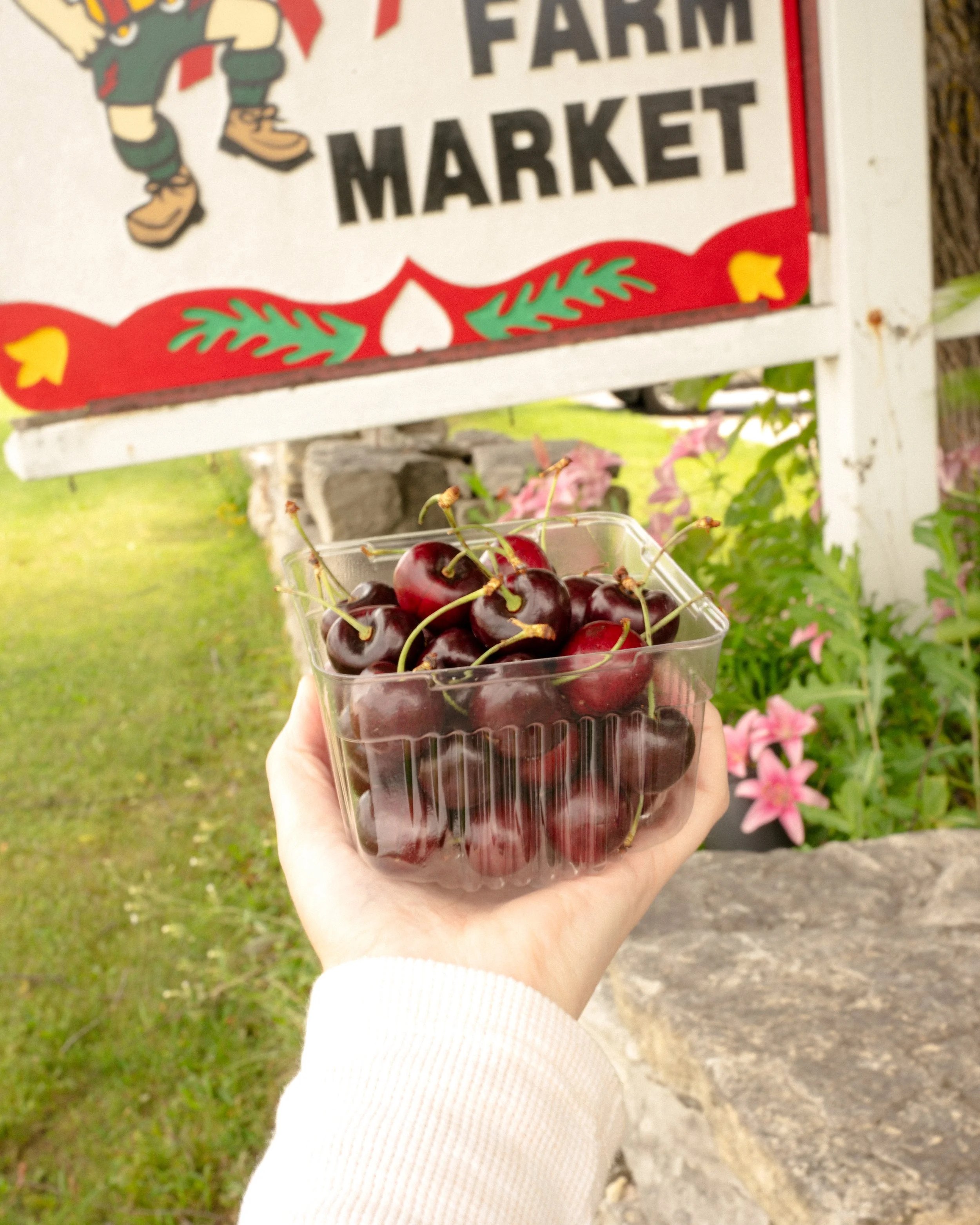 arm-cherries-sign-croped-fw.jpg