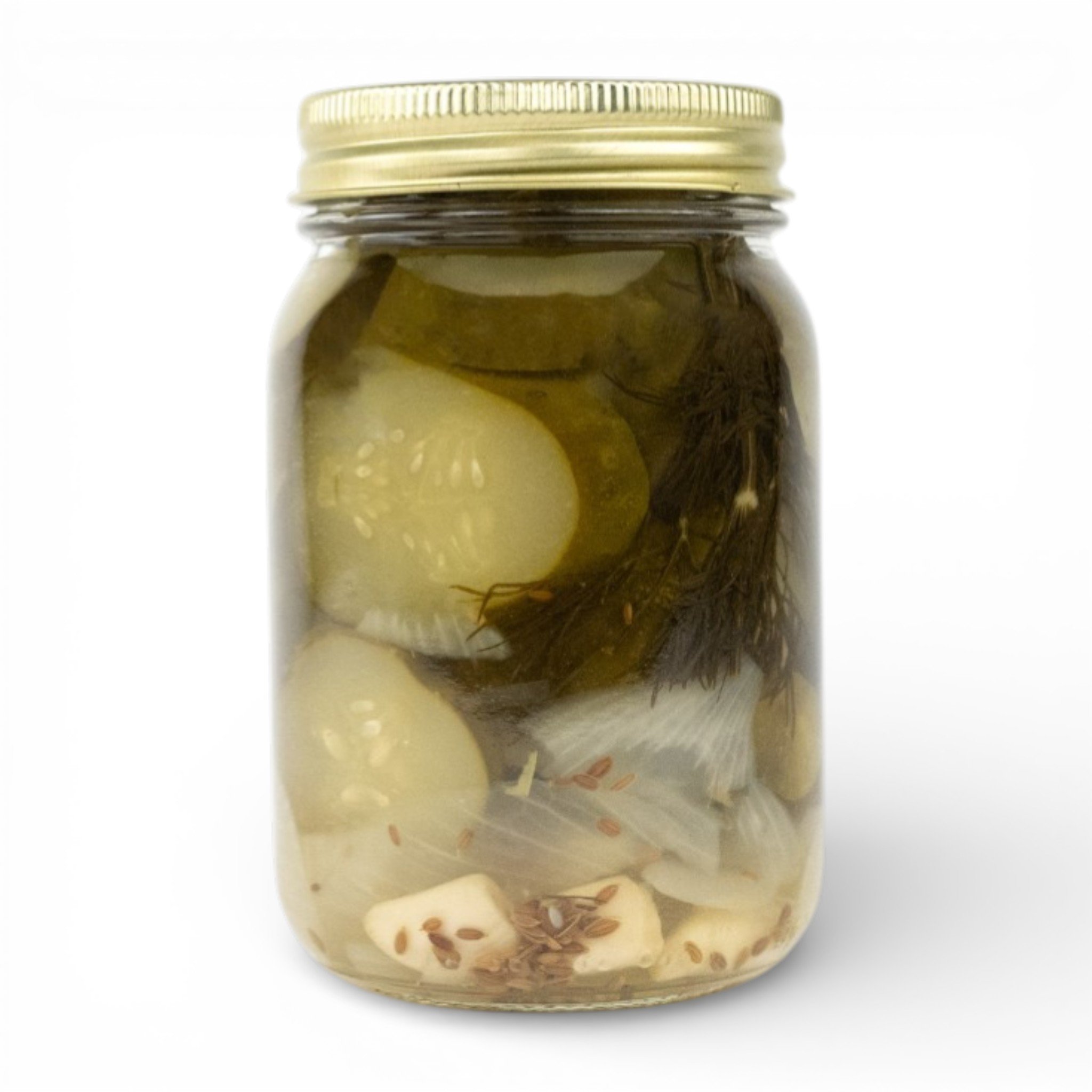 Slicedgarlicdillpickles-backside-FW.jpg