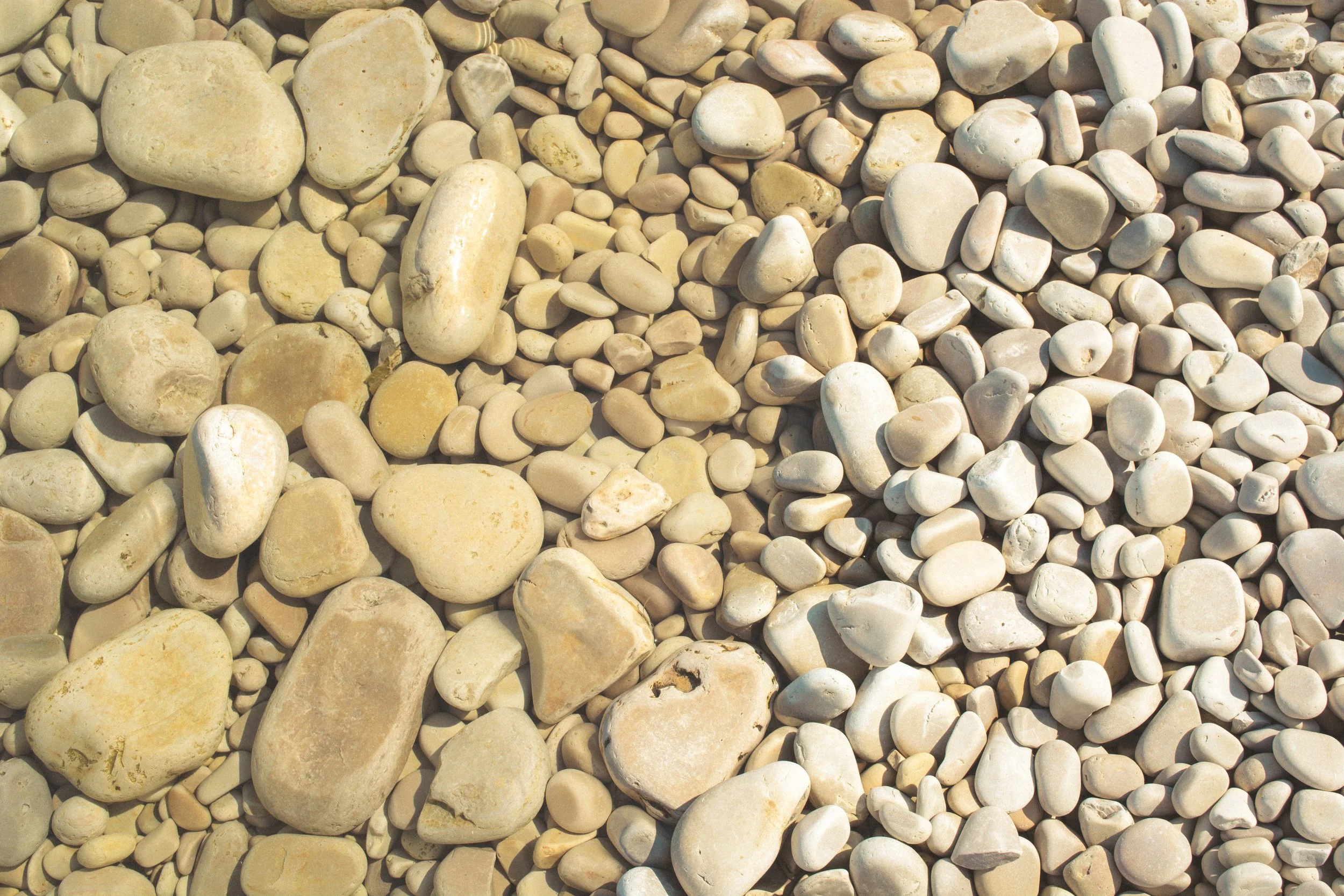 WSI-rocks-fw.jpg