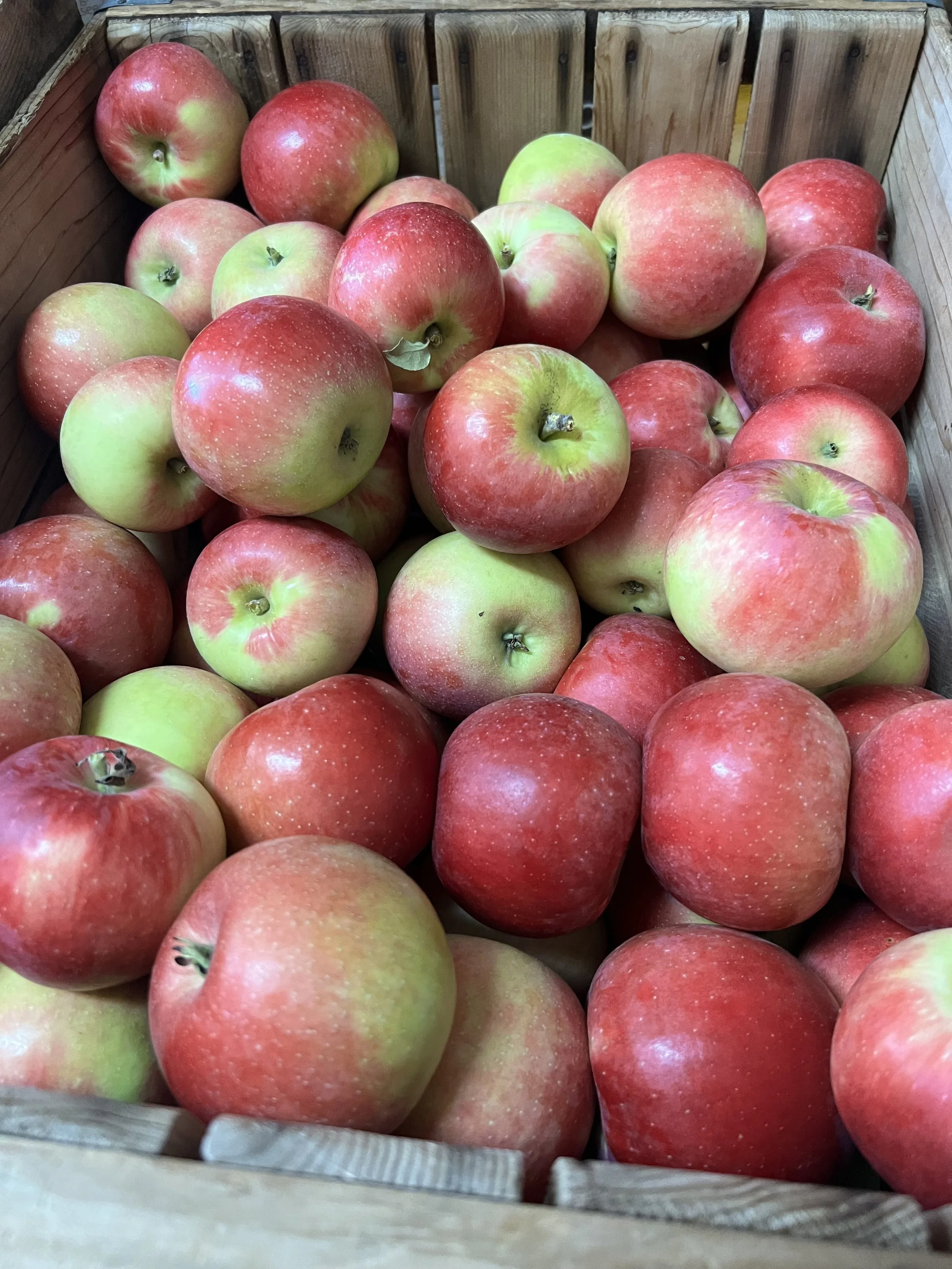 Apples-Koepsels.jpeg