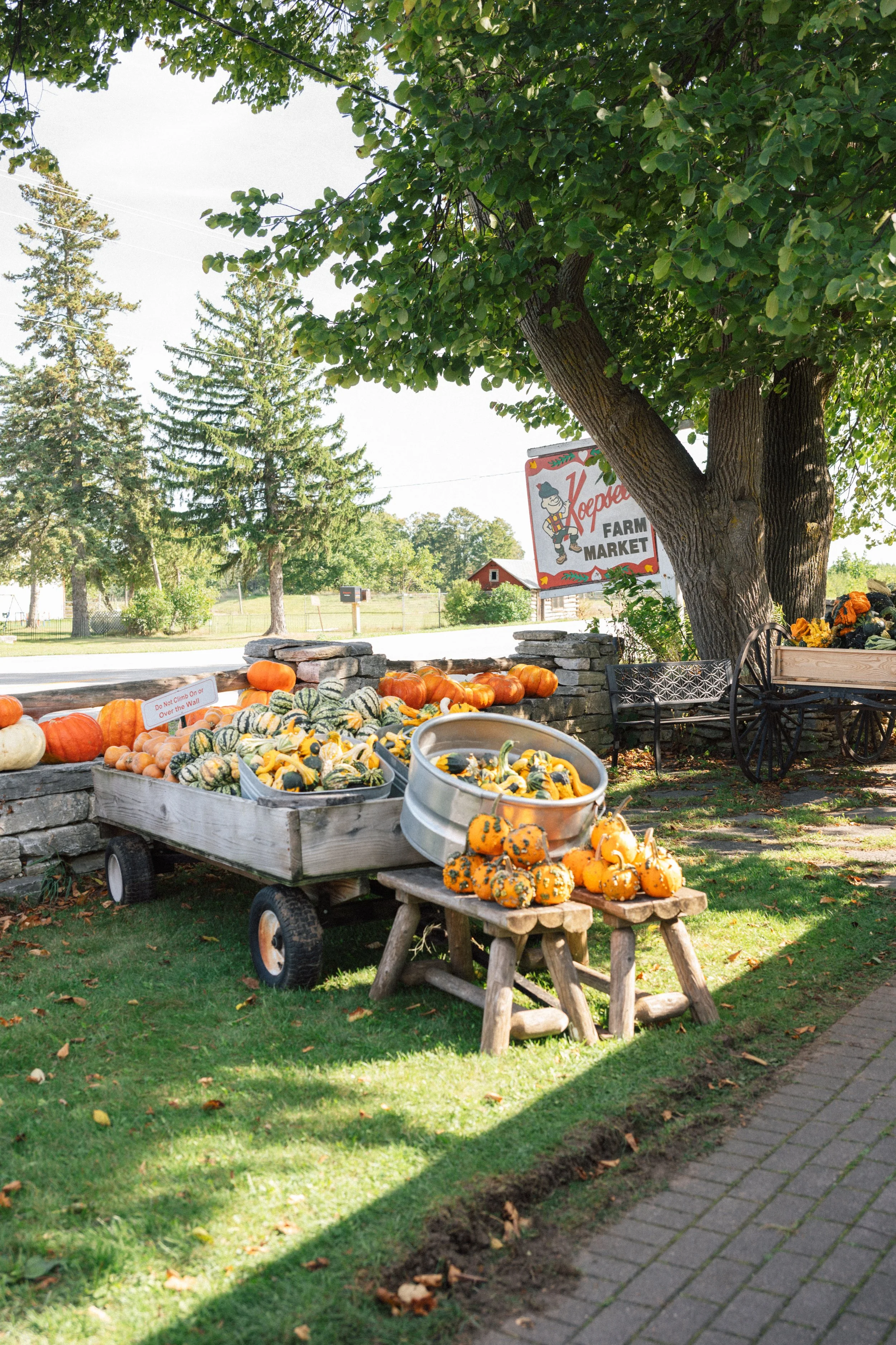 pumkins-sign-fw.jpg