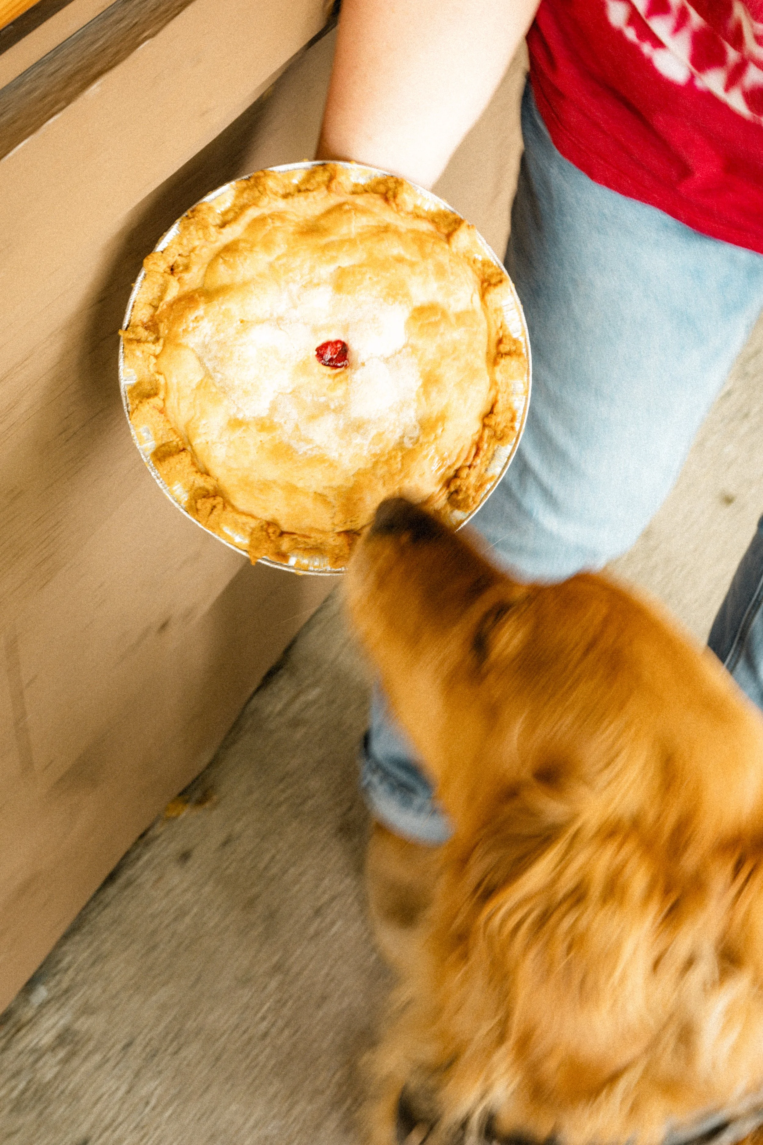 pie-archersmelling-fw.jpg