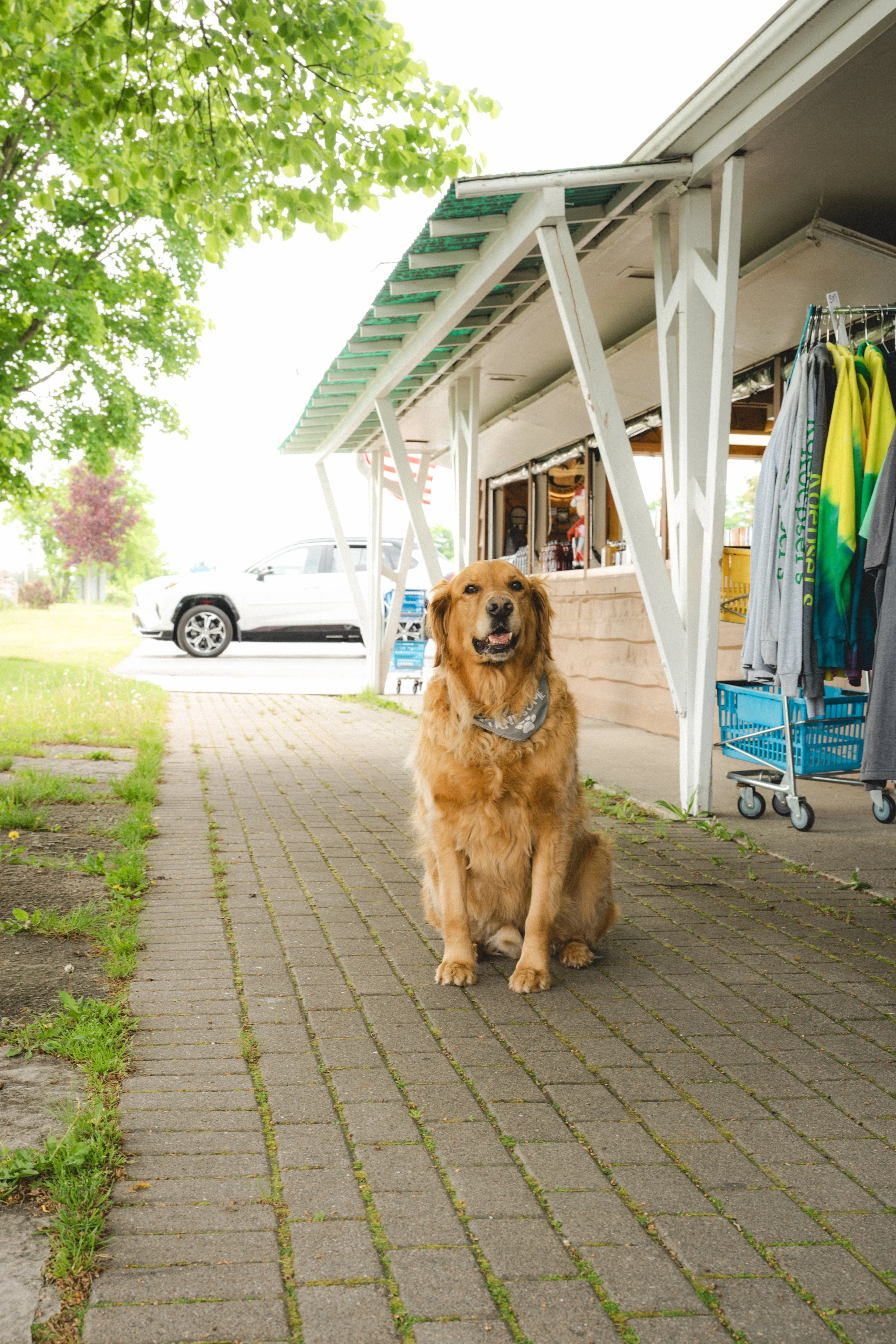 Archer-outsidefarmmarket-smiling-FW.jpg