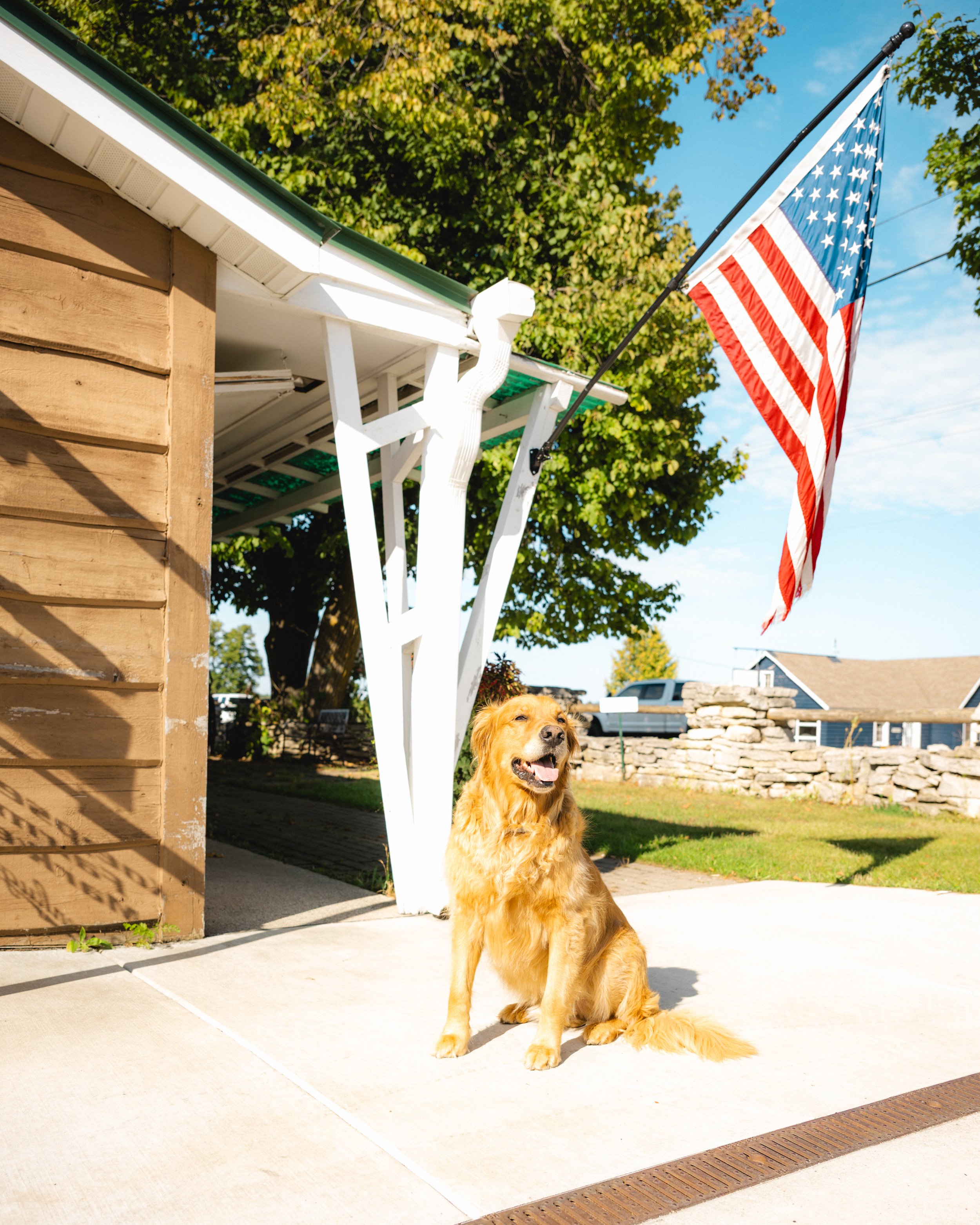 Archer-flag-market-fw.jpg