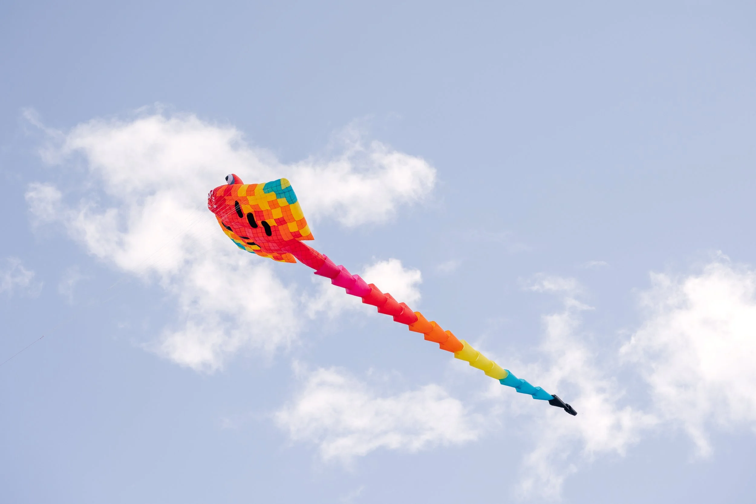Seacreature-kite-fw.jpg