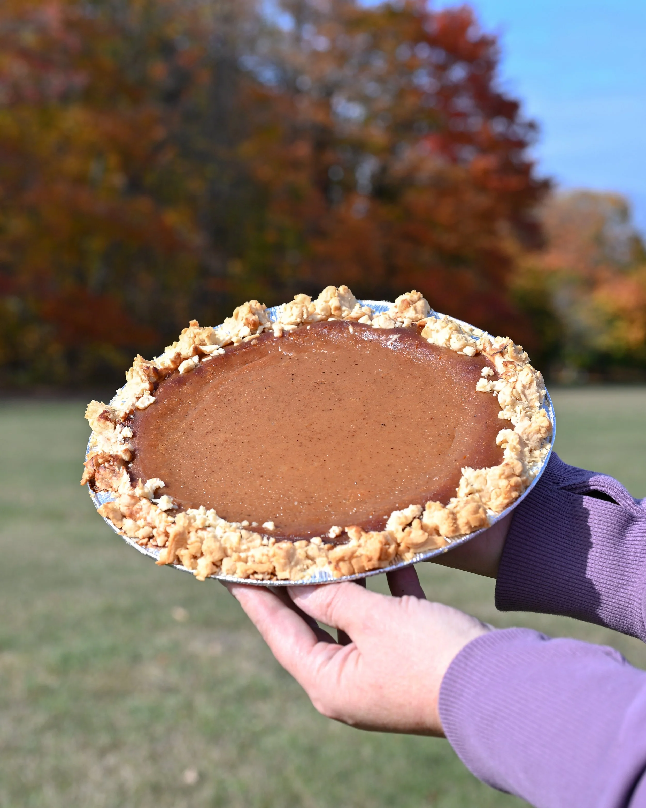 Pumkinpie-Fallcolors-FW.jpg
