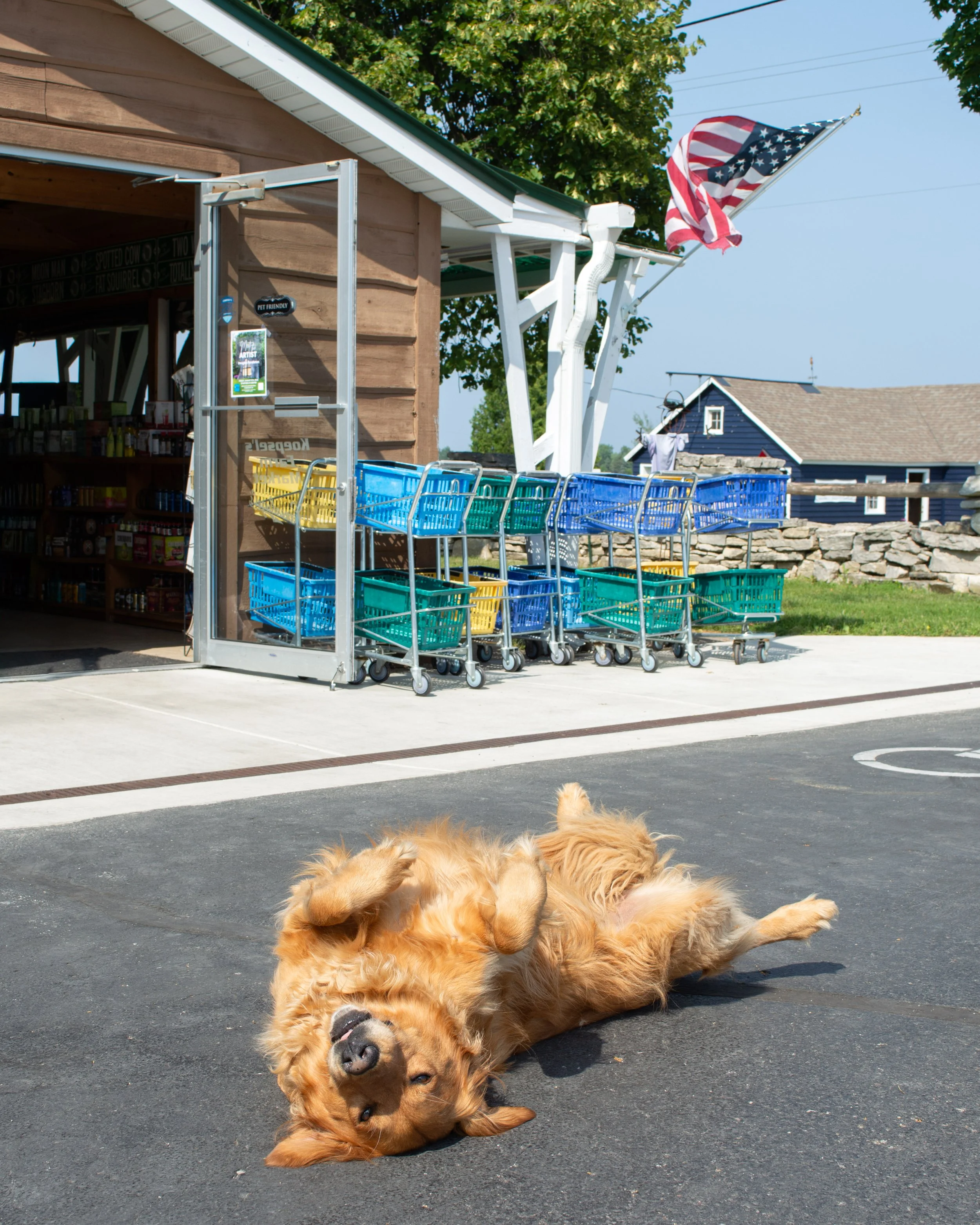 Acher-pets-9-FW.jpg
