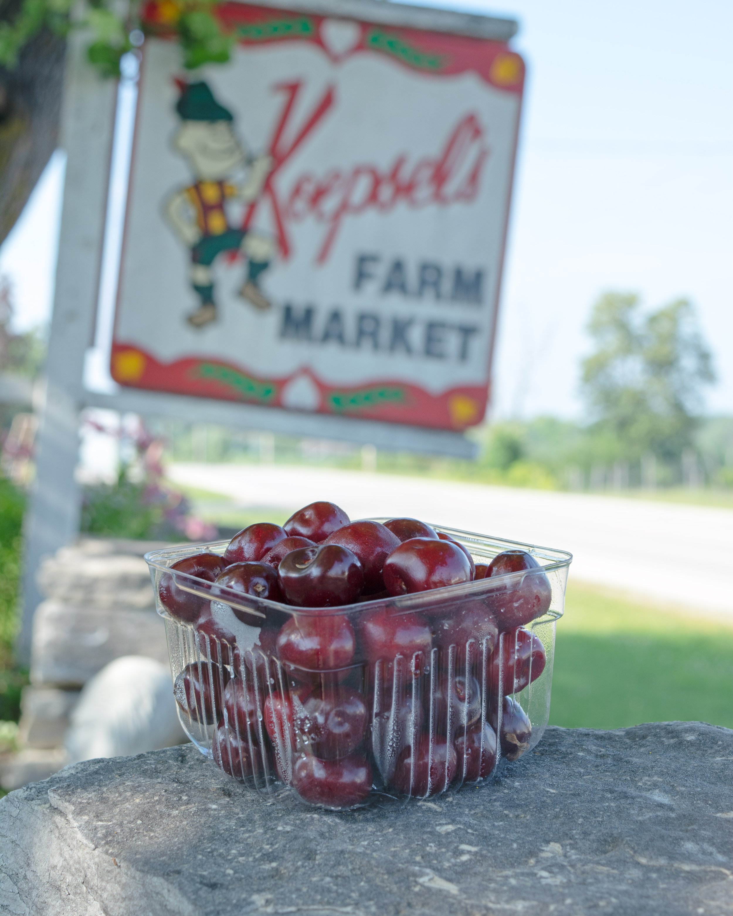 FreshCherries-FW.jpg