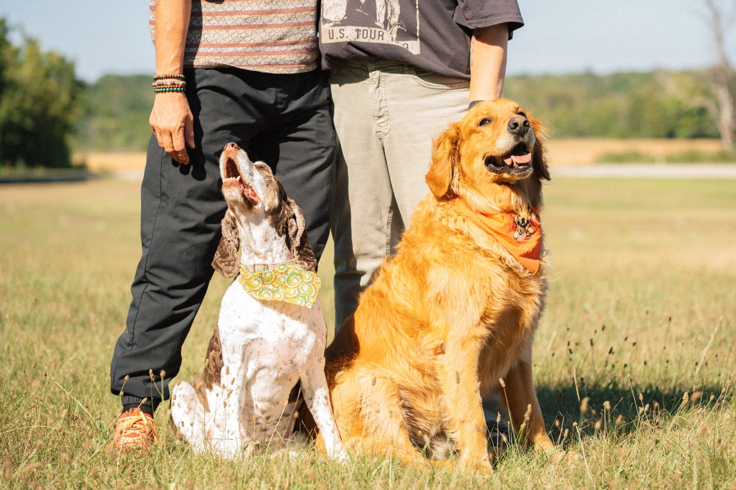 Justdogs-FW.jpg