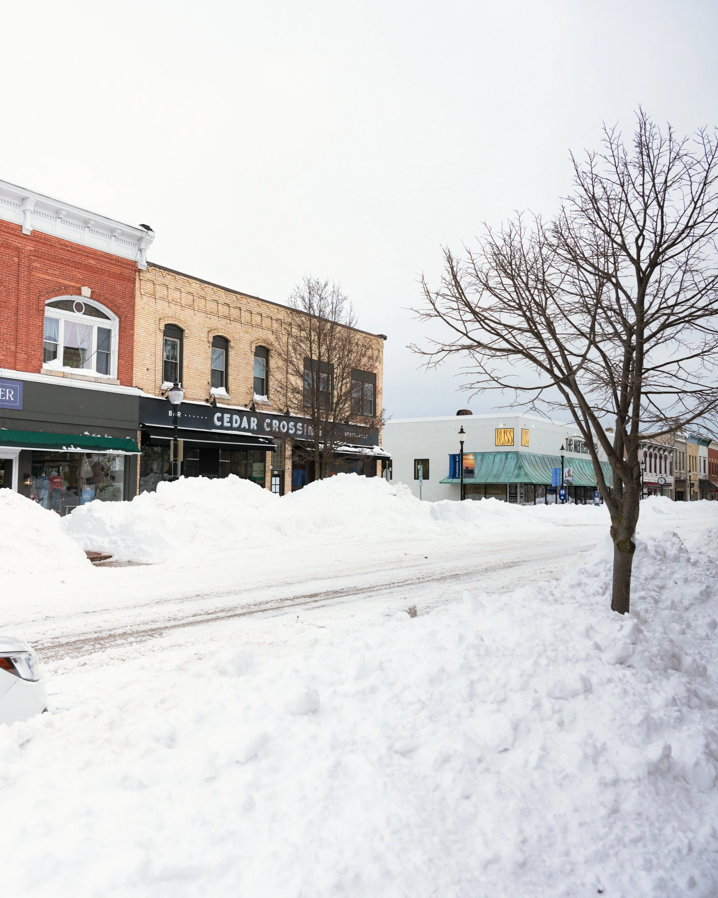 Cedarcrossing-tree-snowstorm-FW.jpg
