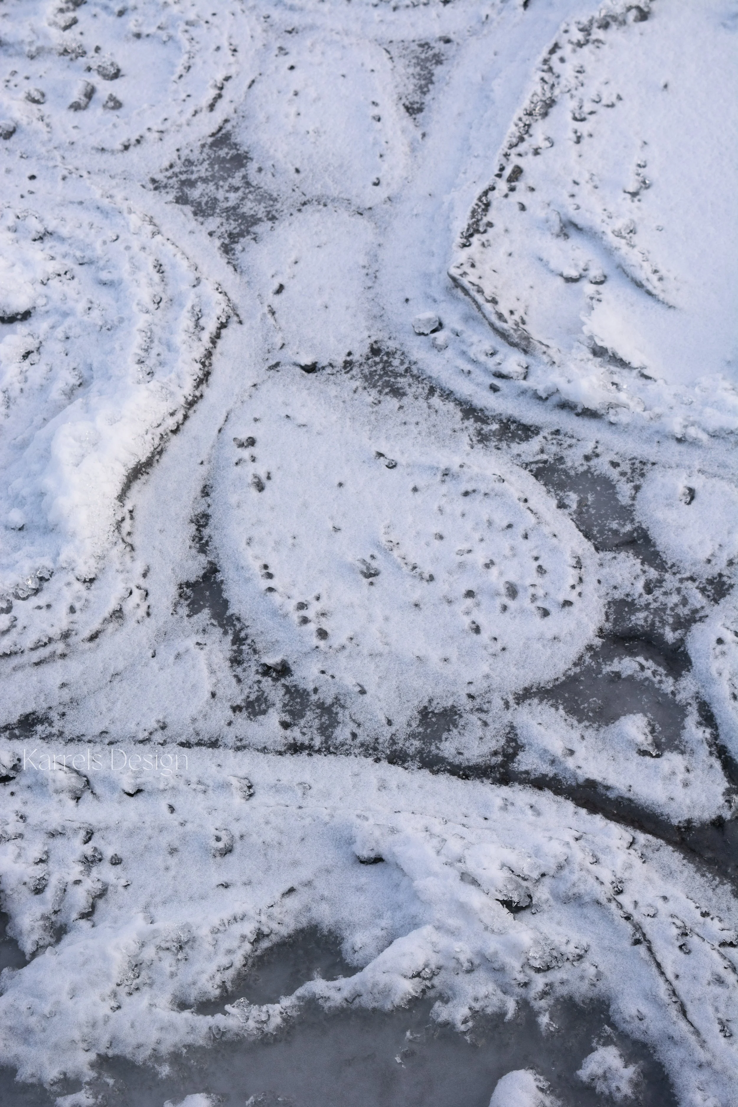Snow-Pancakes1-FW.jpg