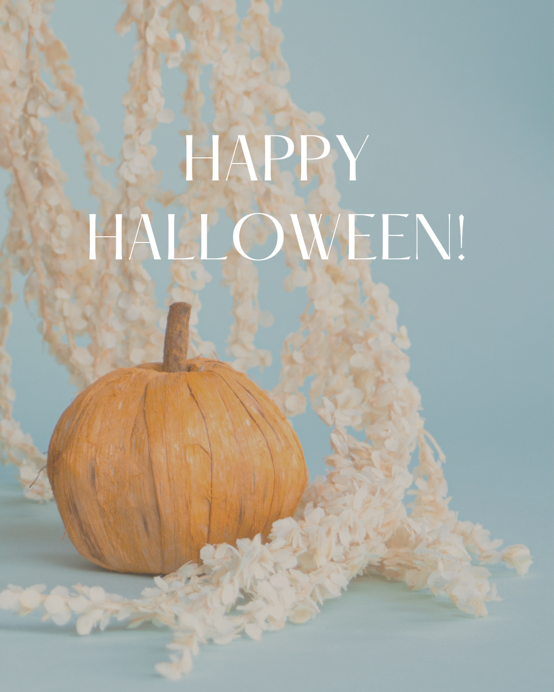 OPEN (Instagram Post (45)).png