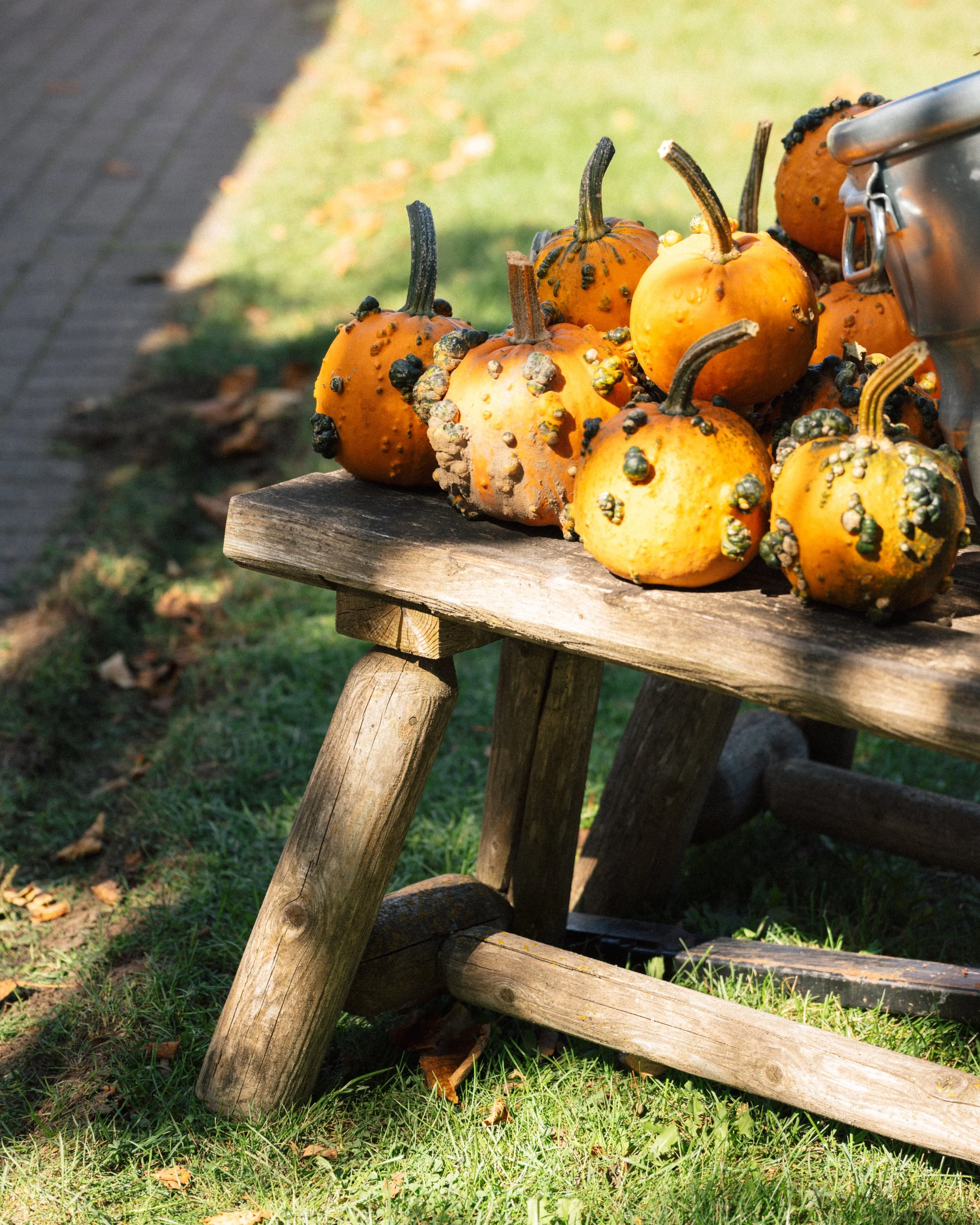 Pumkins-1-fw.jpg