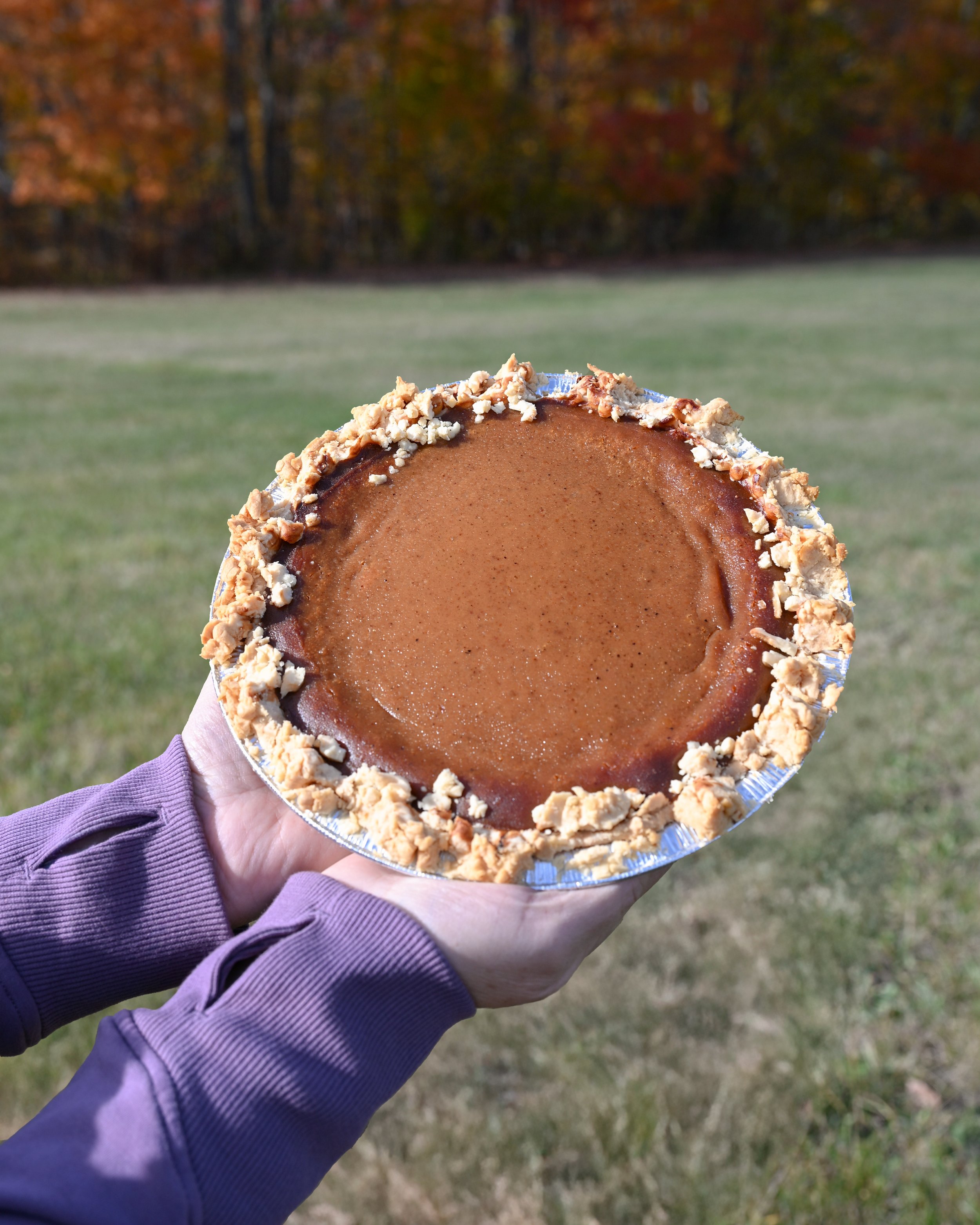 Pumkin-pie---2-FW.jpg