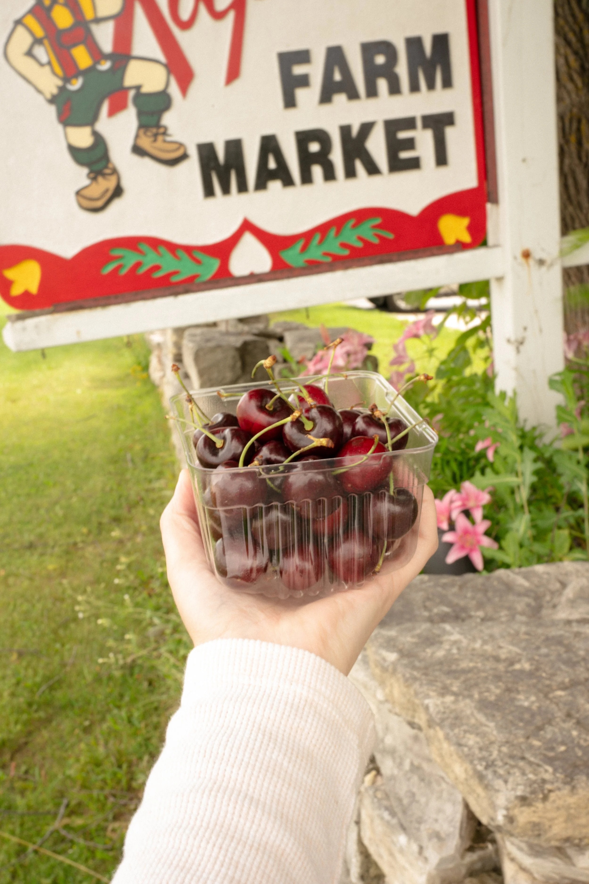 arm-cherries-sign-fw.jpg