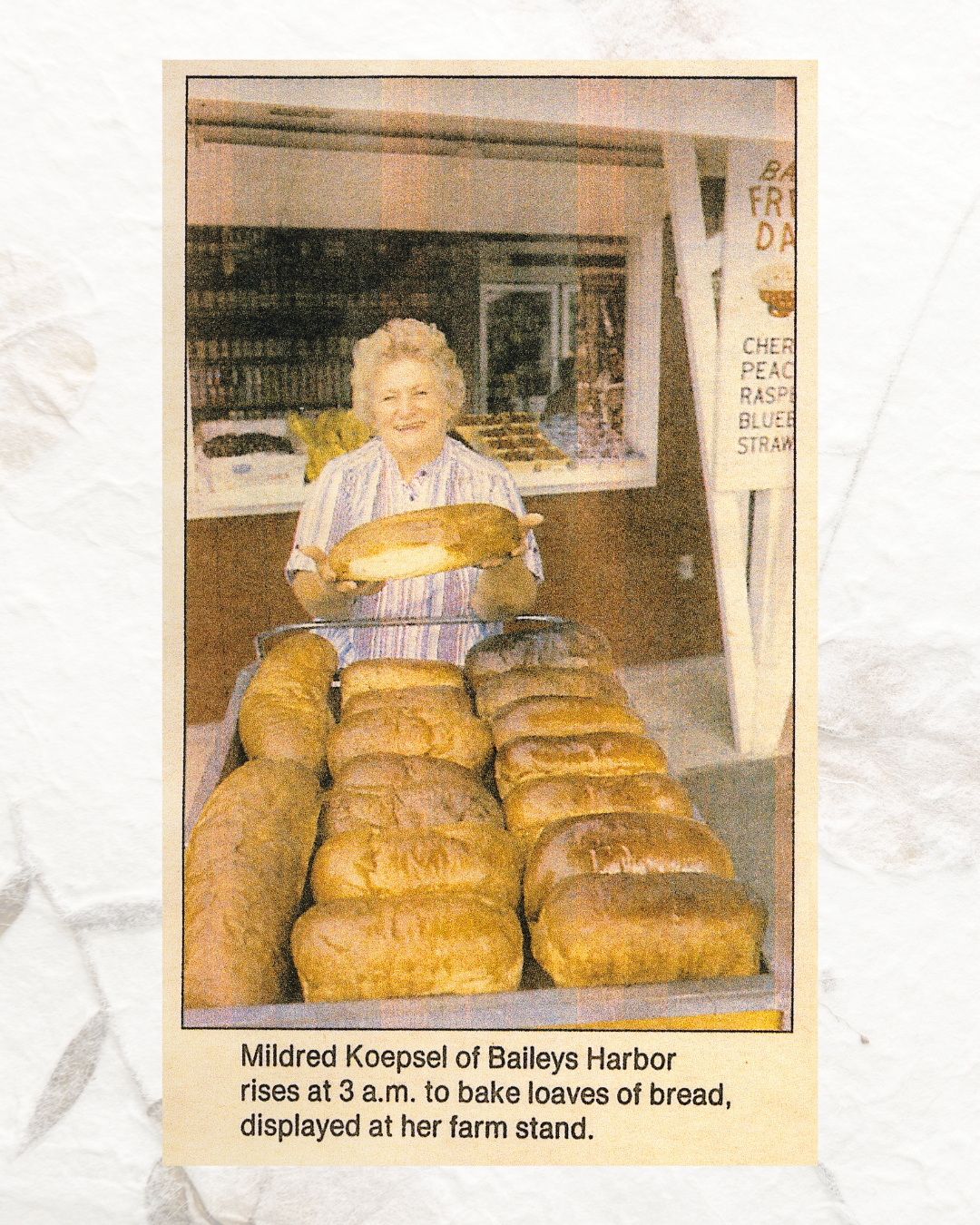 Instagram 45 -Koepsels (1).png