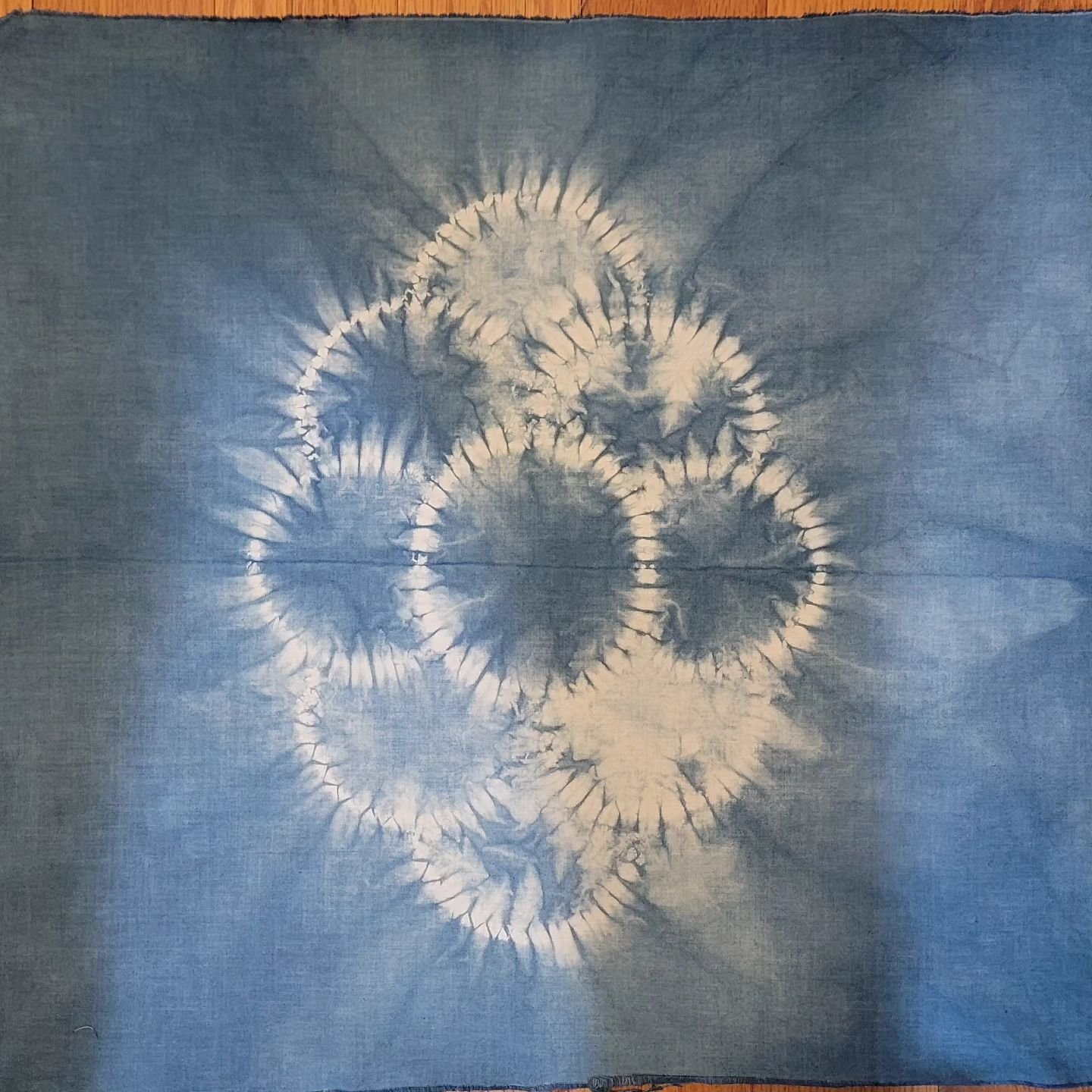#indigodyeing  indigo dyeing before winter - check back on Wednesday October 9, 2024 for an update to my blog!