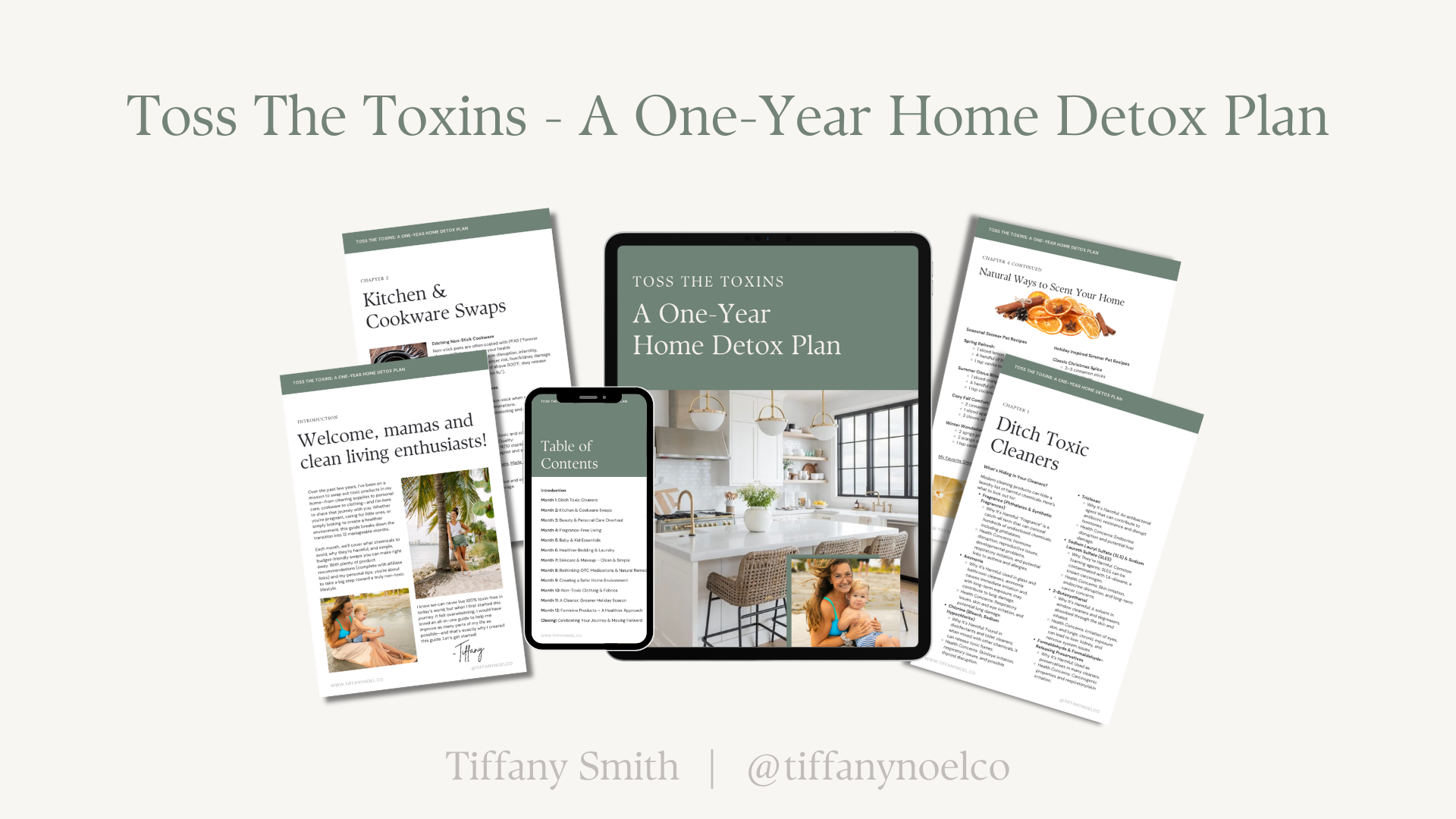 Toss The Toxins | A One Year Detox Plan