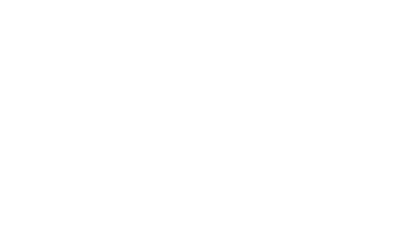 Schmitz Aesthetics
