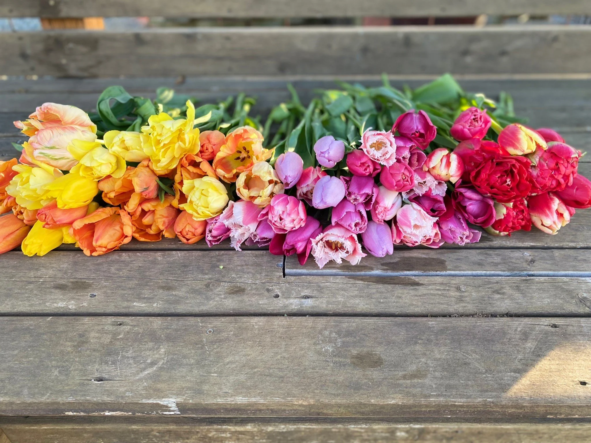 Spring Bouquet Membership