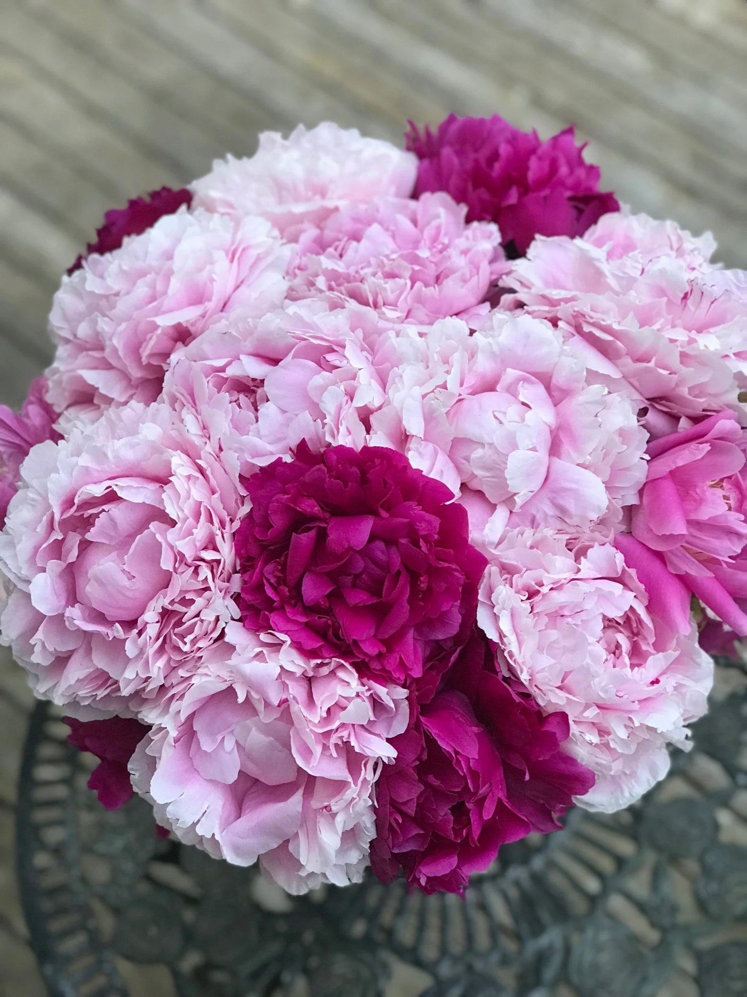 Limited Peony Club Membership