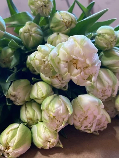 Screenshot 2026-01-12 122727.jpg