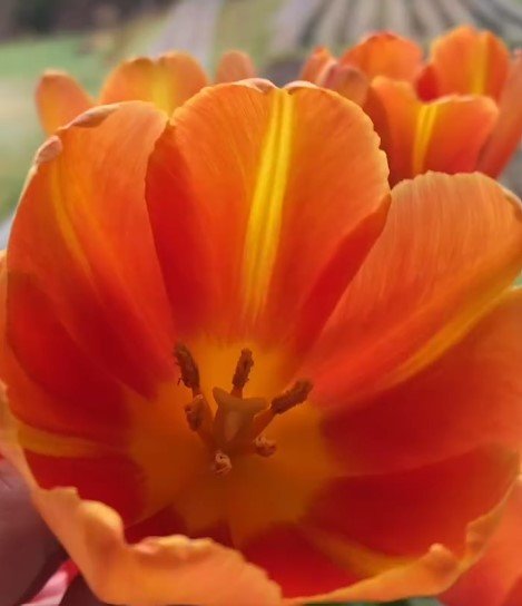 Screenshot 2026-01-12 123053.jpg