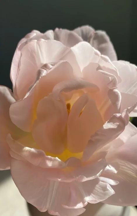 Screenshot 2026-01-12 123424.jpg