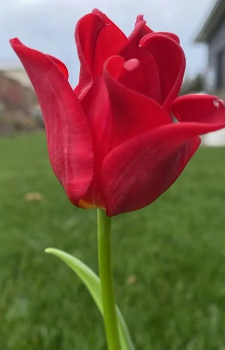 Screenshot 2026-01-12 123237.jpg