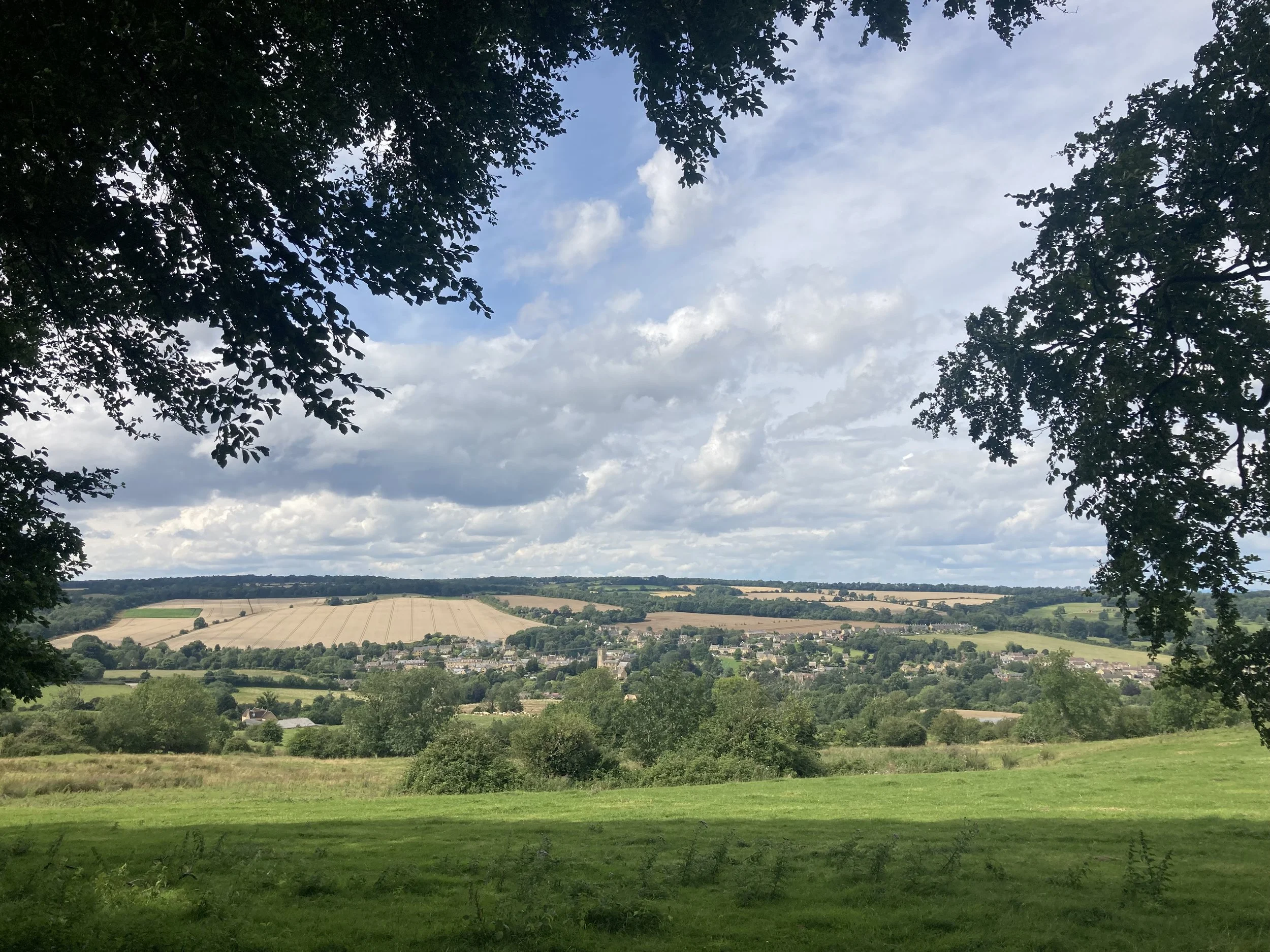 Scenic countryside view with green fields, trees, and a small village under a partly cloudy sky, framed by tree branches.