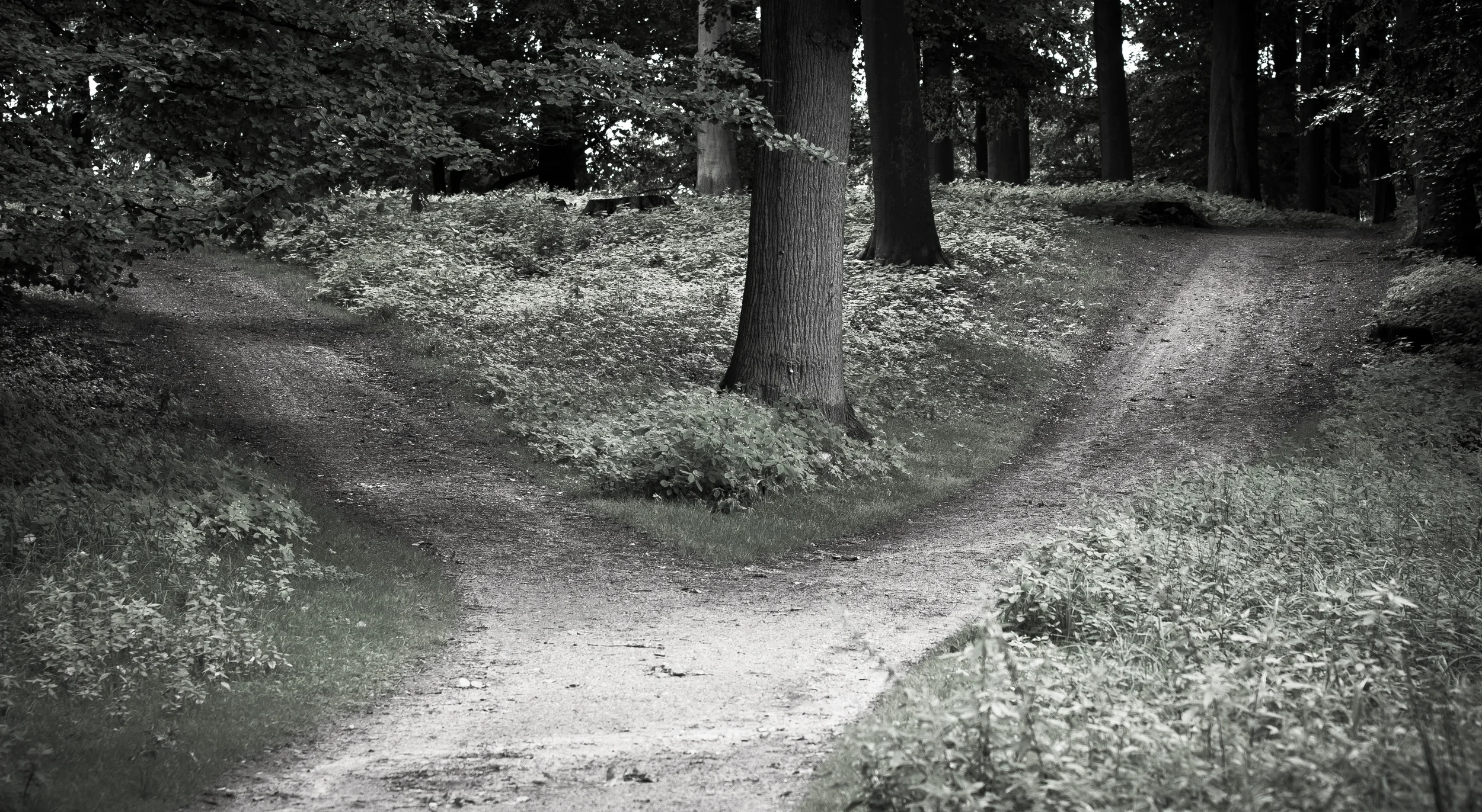 Decisao.jpg