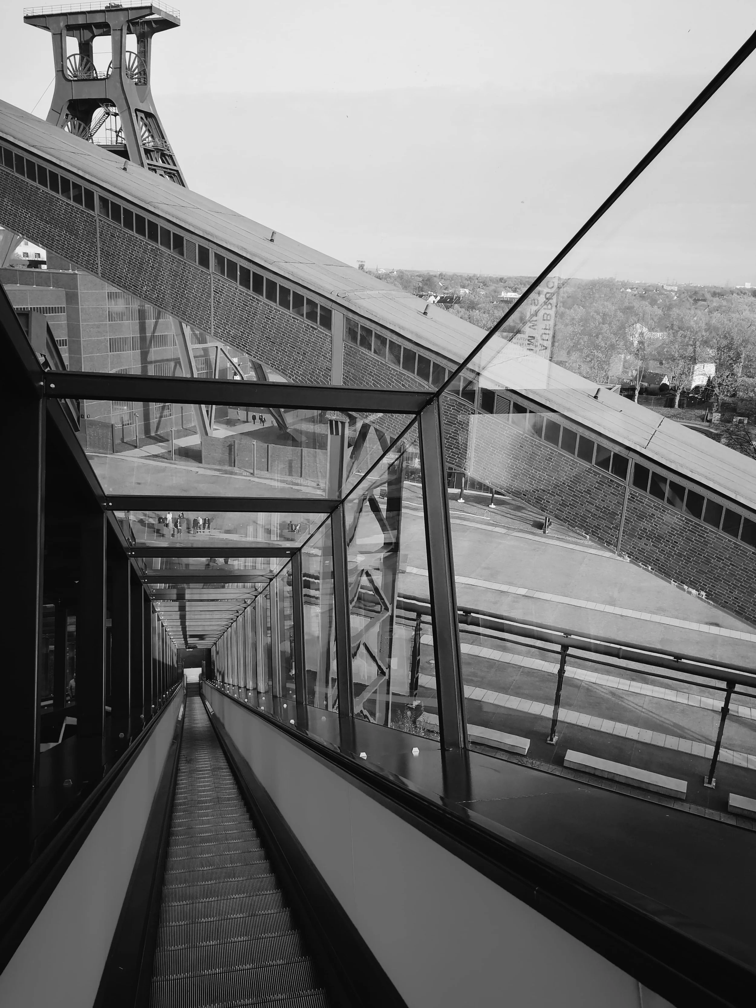 2019-11-08 08.35.47 1.jpg