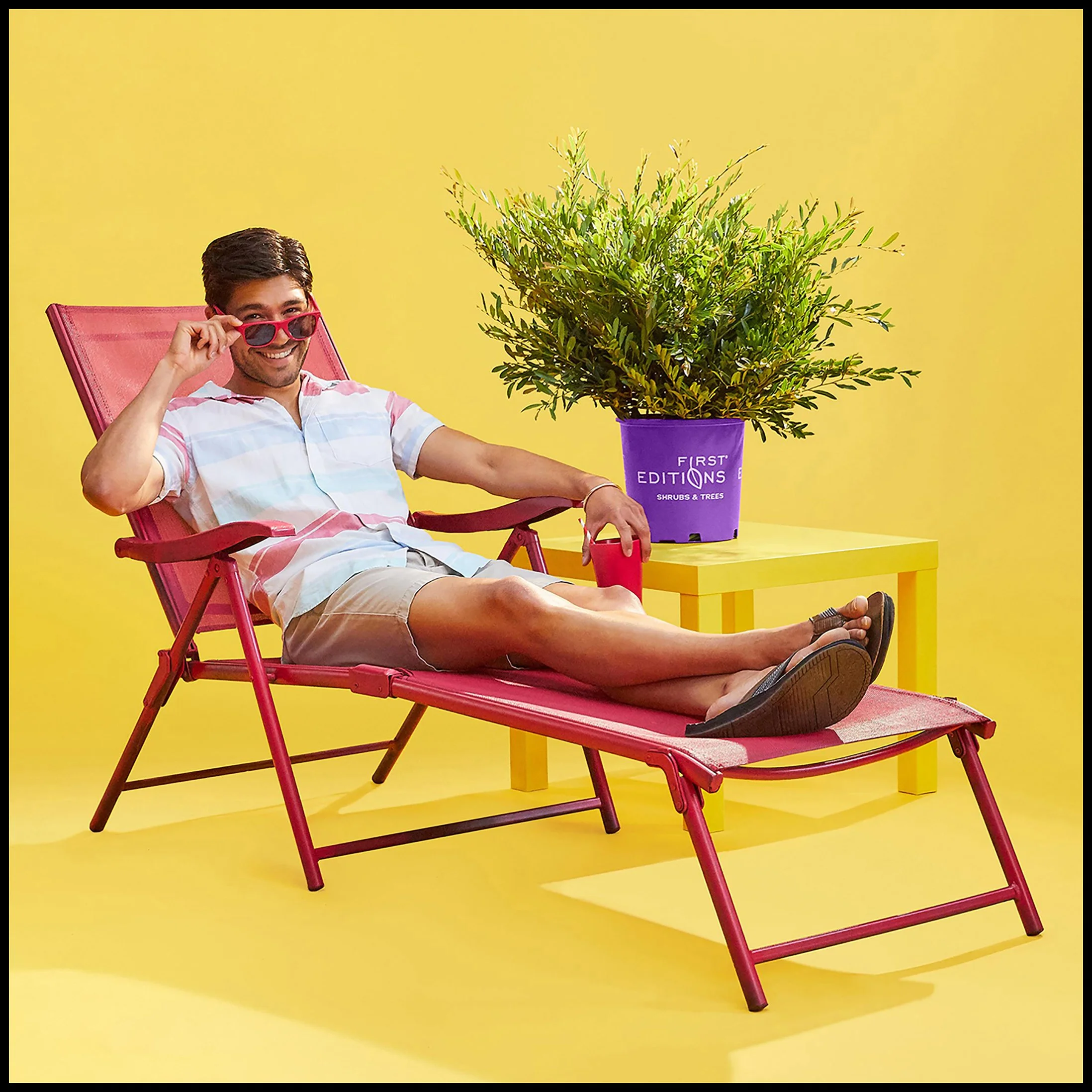 A man relaxing on a red lounge chair with a yellow background, wearing sunglasses and a pastel short-sleeved shirt, with a potted shrub on a yellow table beside him.  BaileyNursery Plants Product Advertising Photography KyleSmithPhoto.