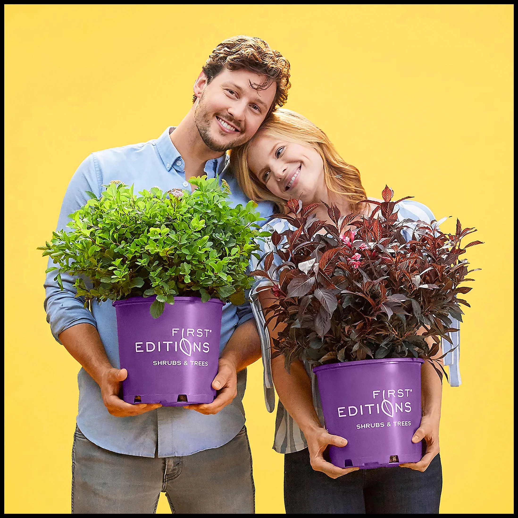A smiling man and woman holding purple pots with green and red plants, standing against a yellow background.  BaileyNursery Plants Product Advertising Photography KyleSmithPhoto.