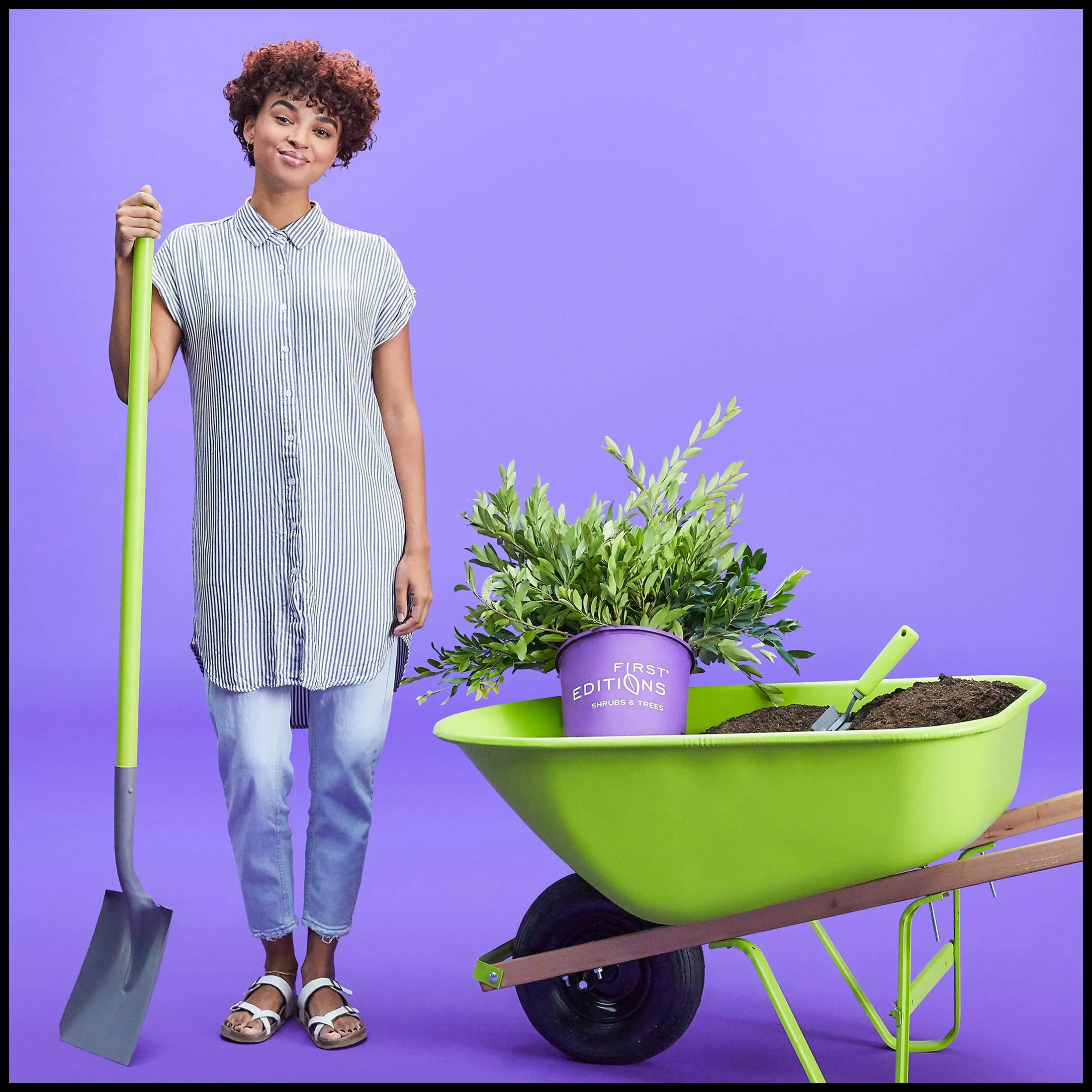 Young woman standing next to a green wheelbarrow filled with a potted shrub, soil, and gardening tools, against a purple background.  BaileyNursery Plants Product Advertising Photography KyleSmithPhoto.