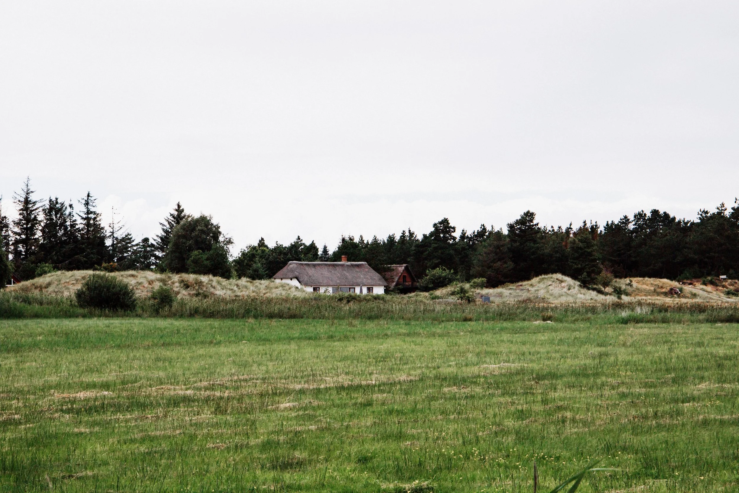 _MG_8562.JPG