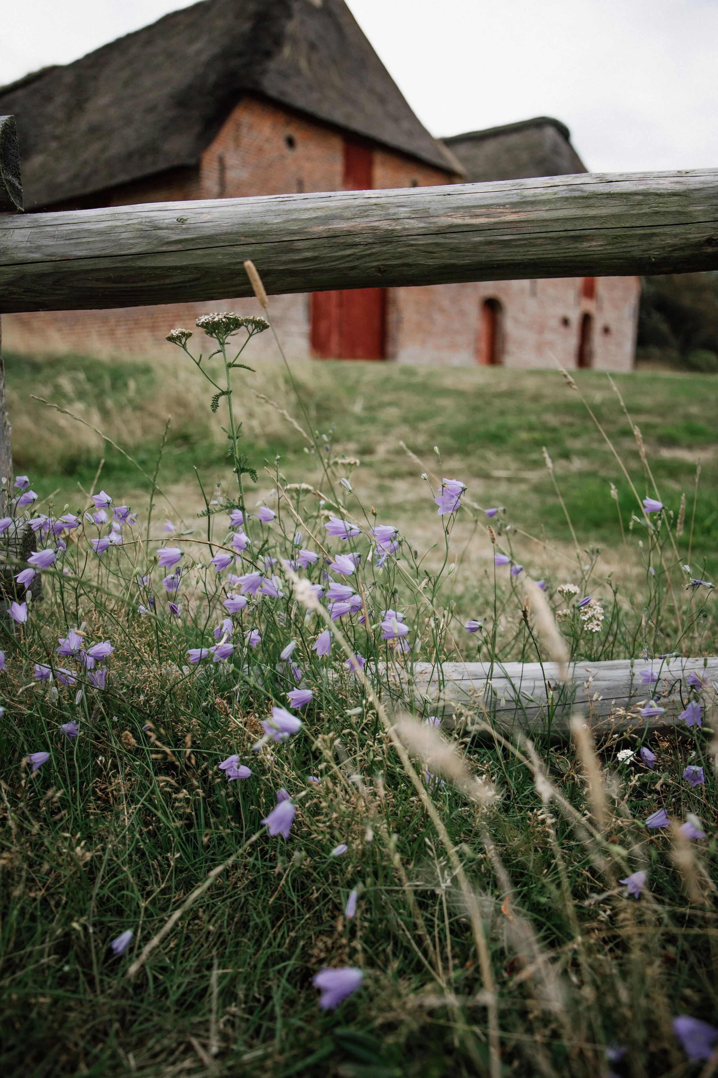 _MG_8510 2.JPG