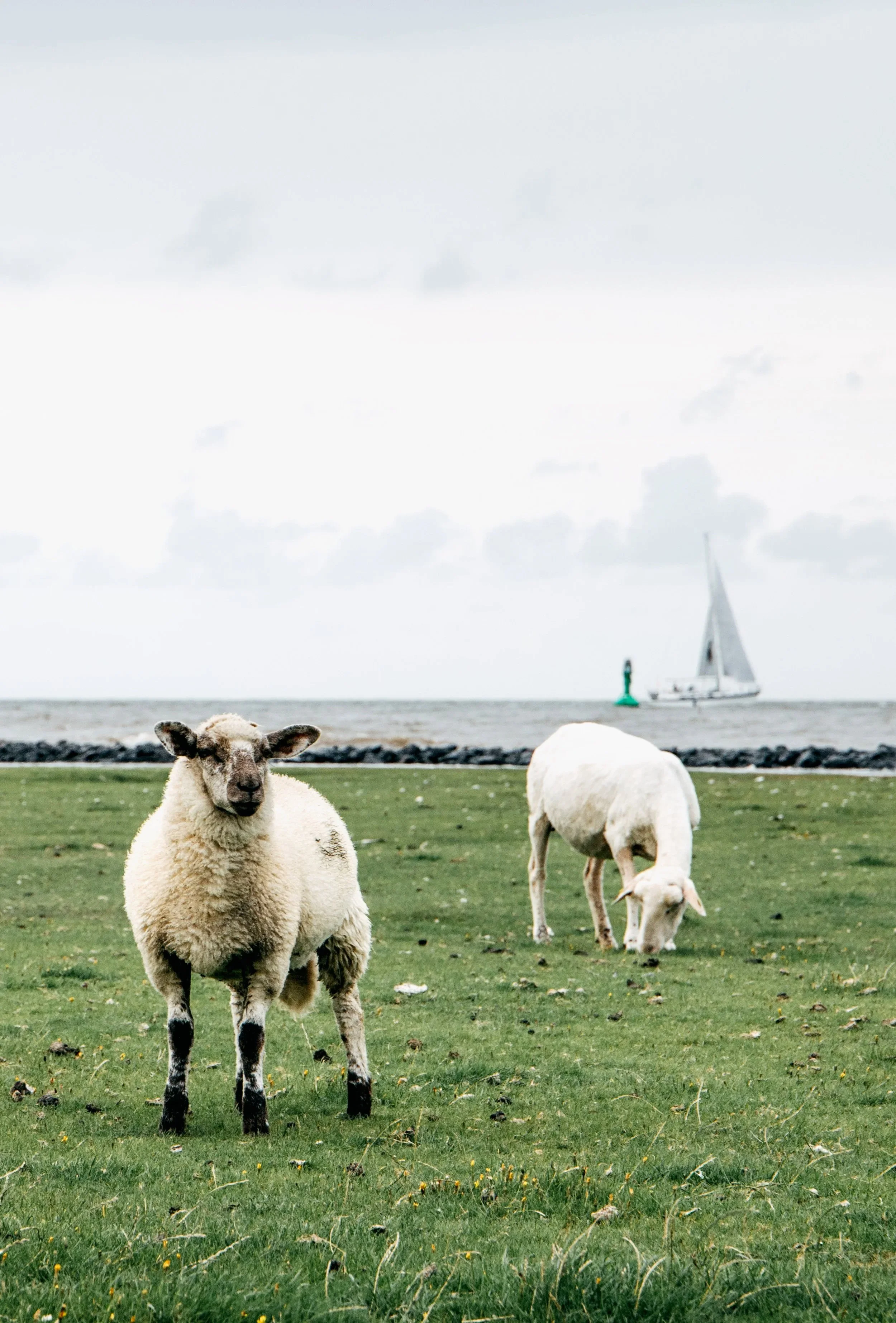 Katharina.Bill.Cuxhaven-2-4.jpg