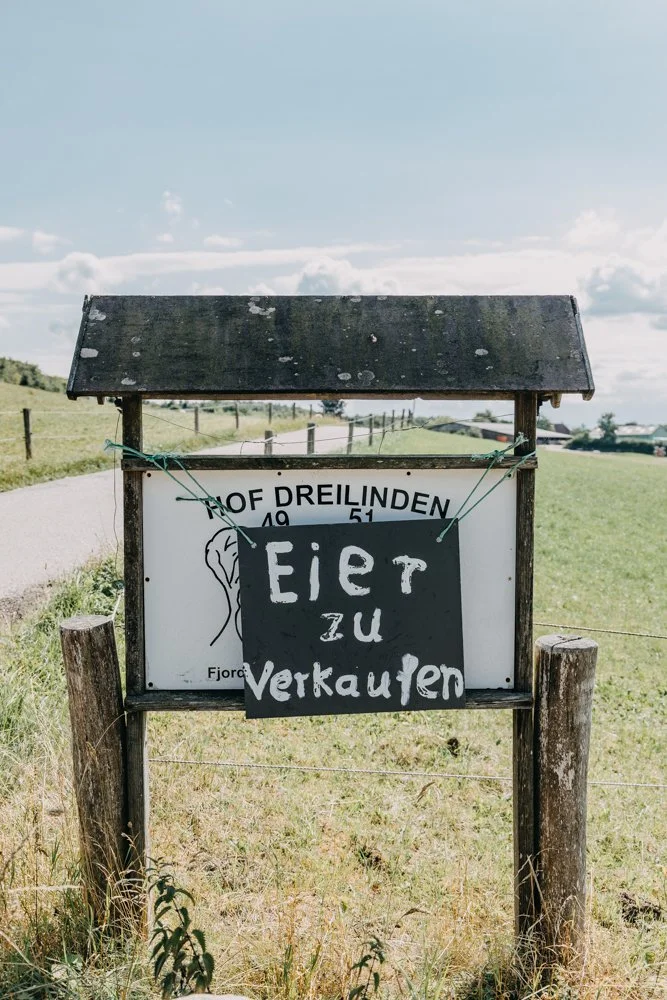 Hofundland.katharinabill-3445.jpg