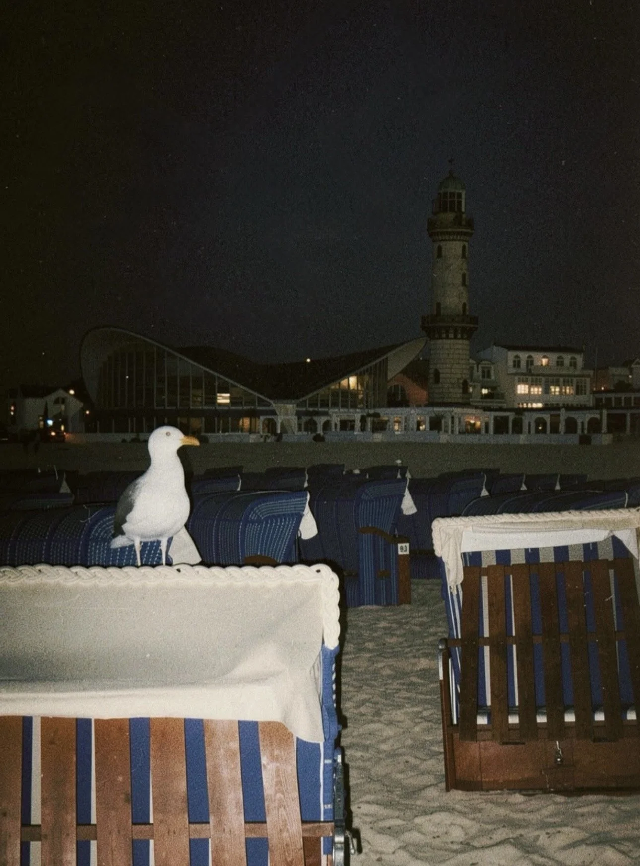 IMG_2527.jpeg